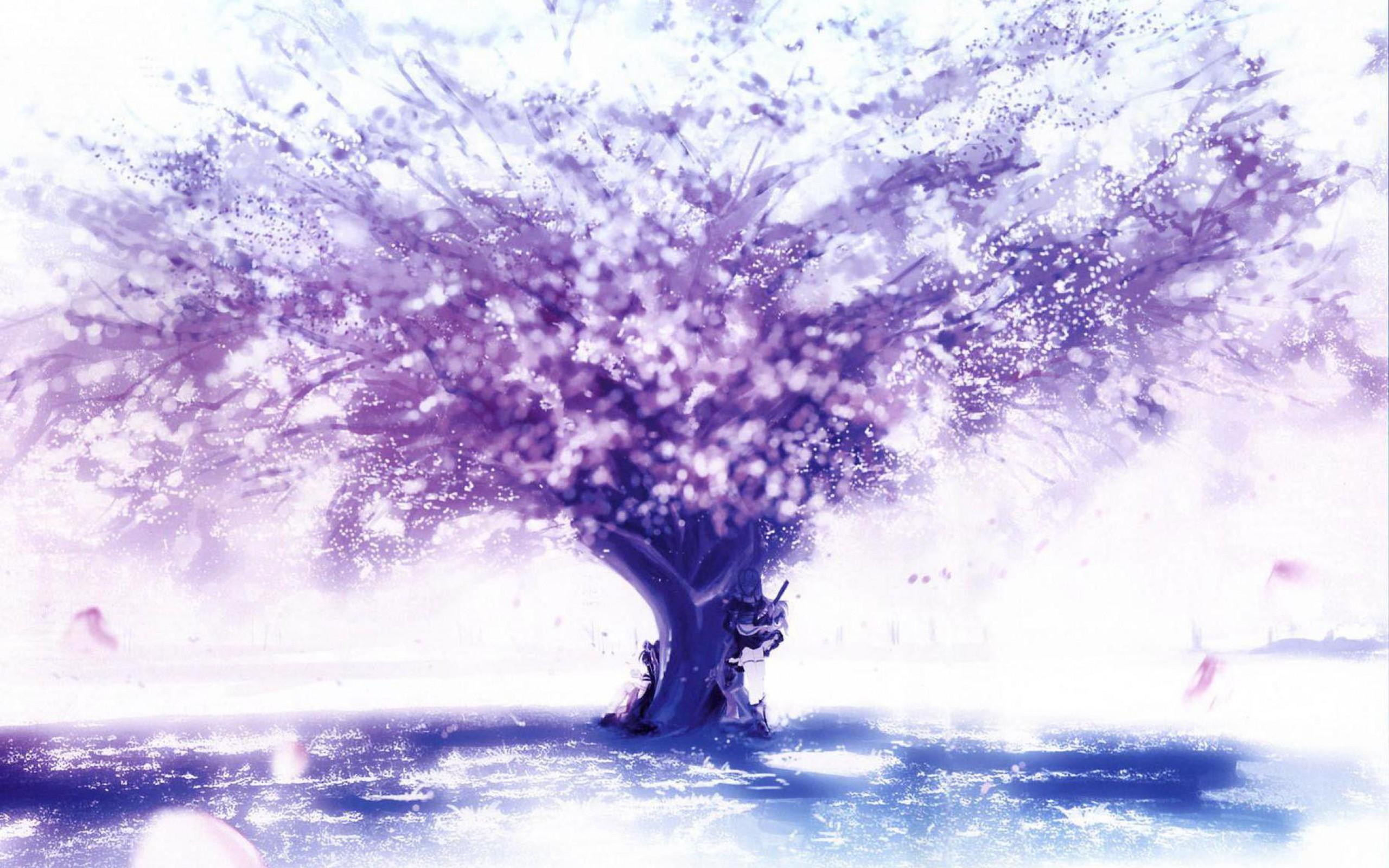 Cherry Blossoms Anime Scenery Wallpapers