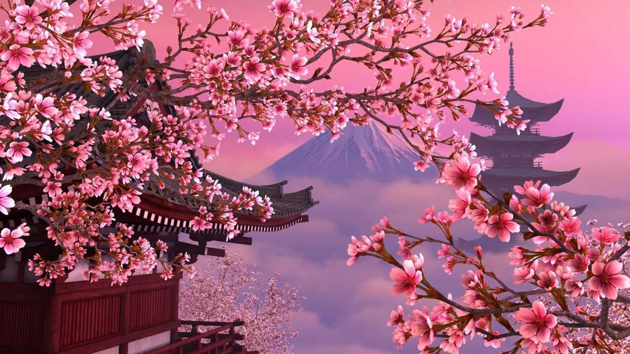 Cherry Blossoms Anime Scenery Wallpapers