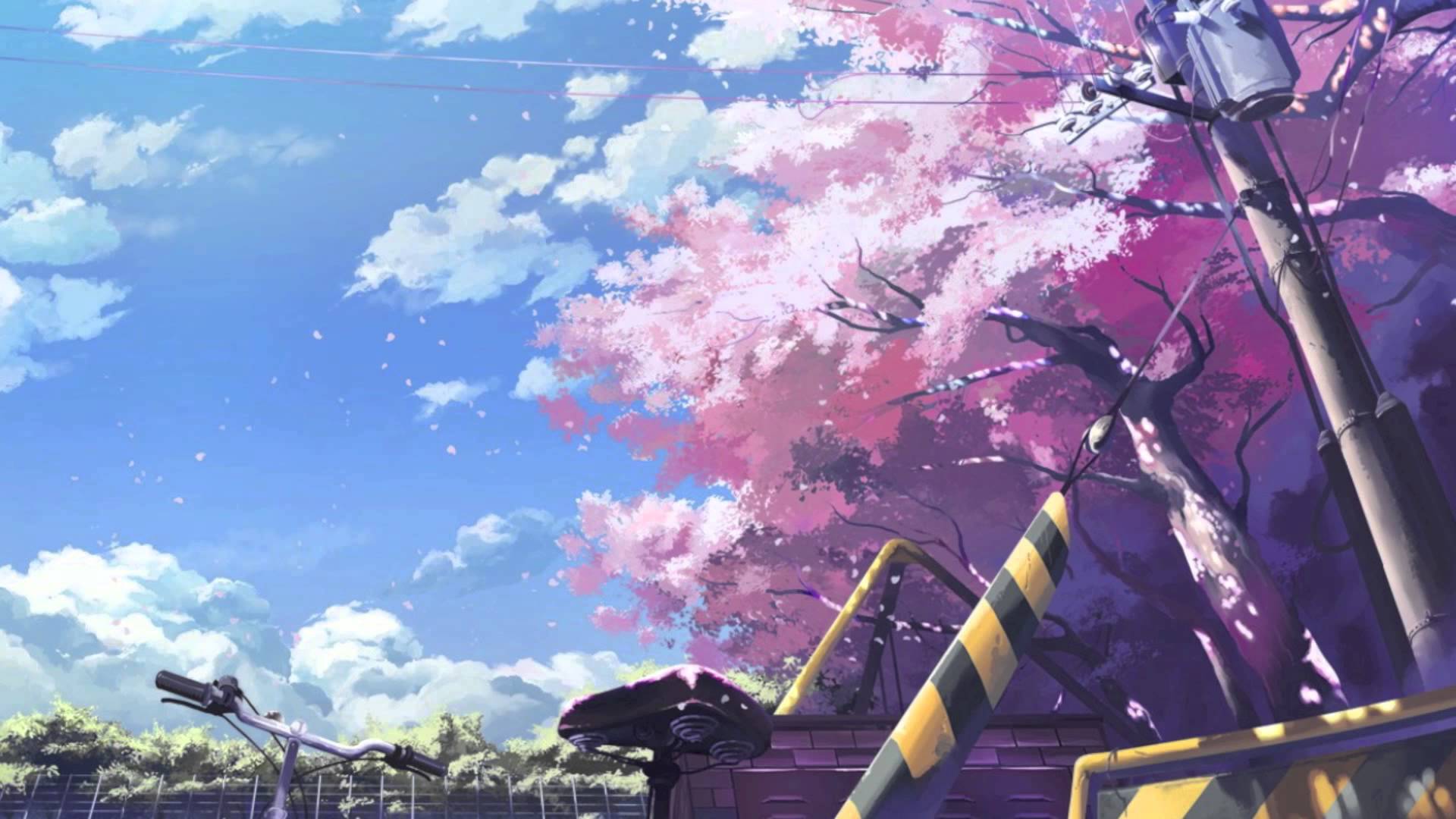 Cherry Blossoms Anime Scenery Wallpapers