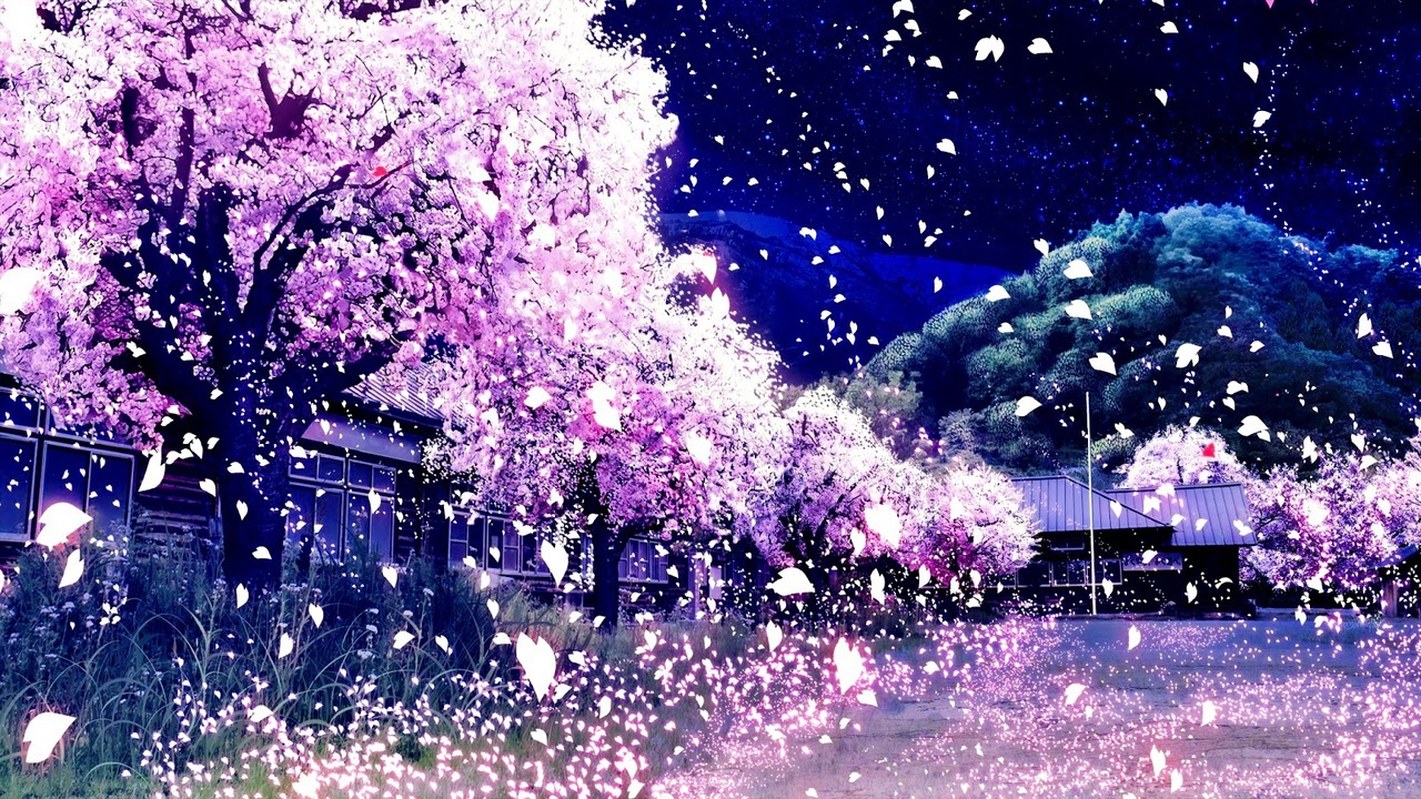 Cherry Blossoms Anime Scenery Wallpapers