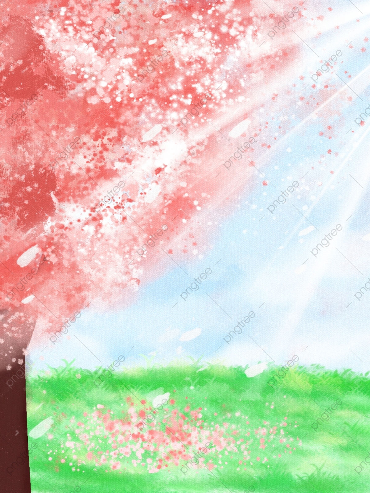 Cherry Blossoms Anime Scenery Wallpapers