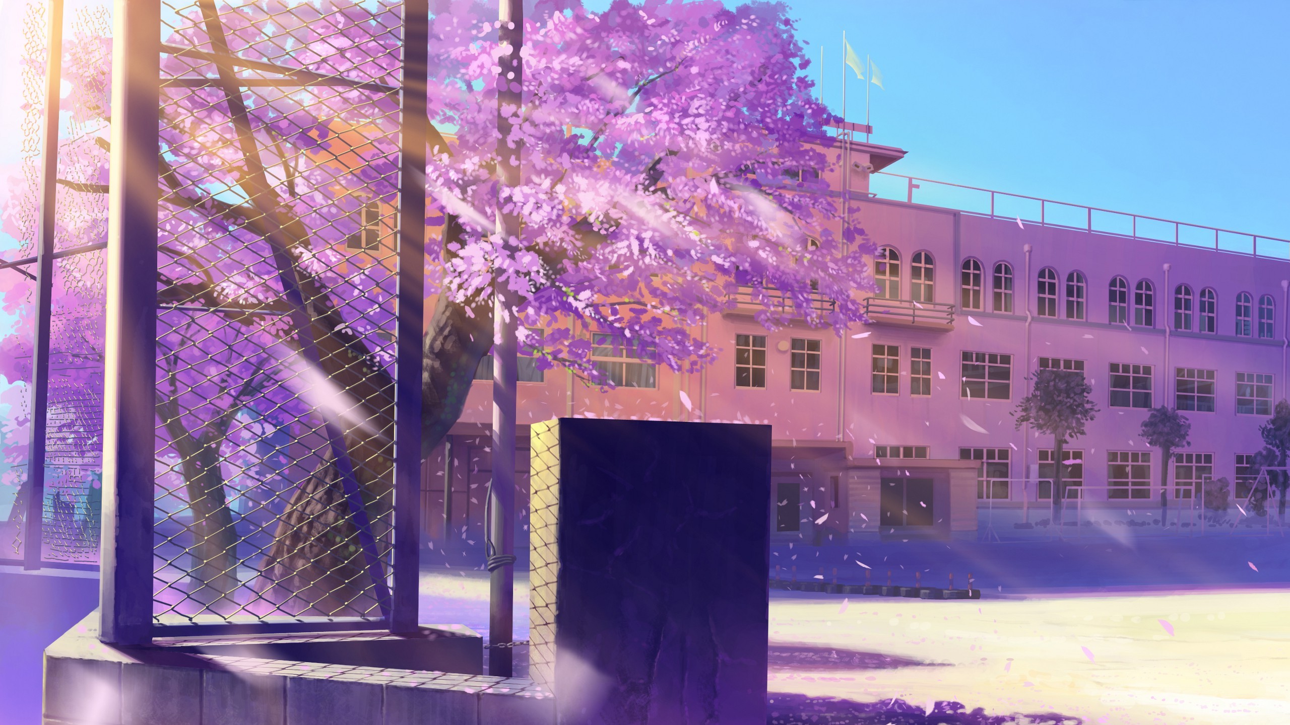 Cherry Blossoms Anime Scenery Wallpapers