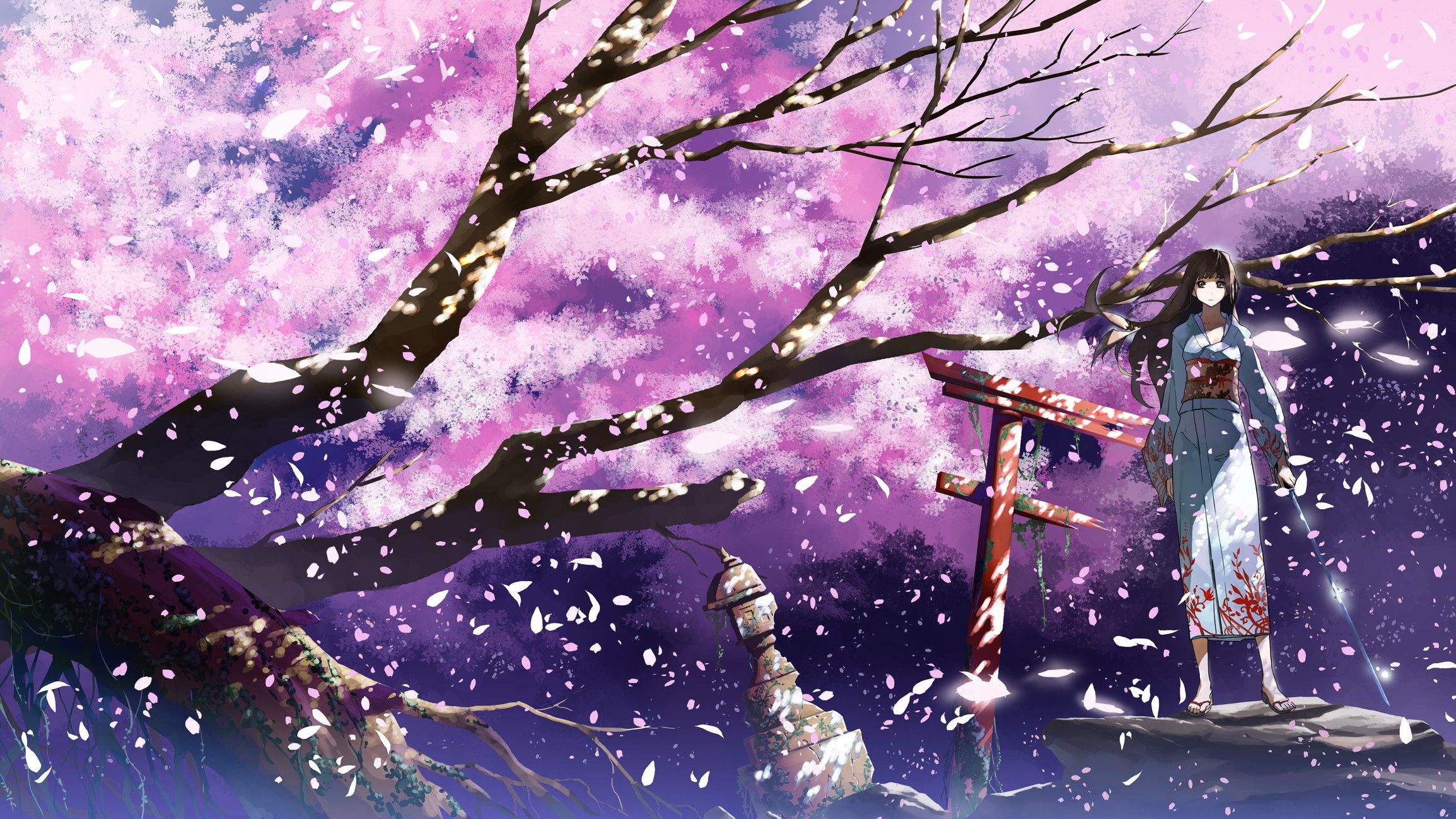 Cherry Blossoms Anime Scenery Wallpapers