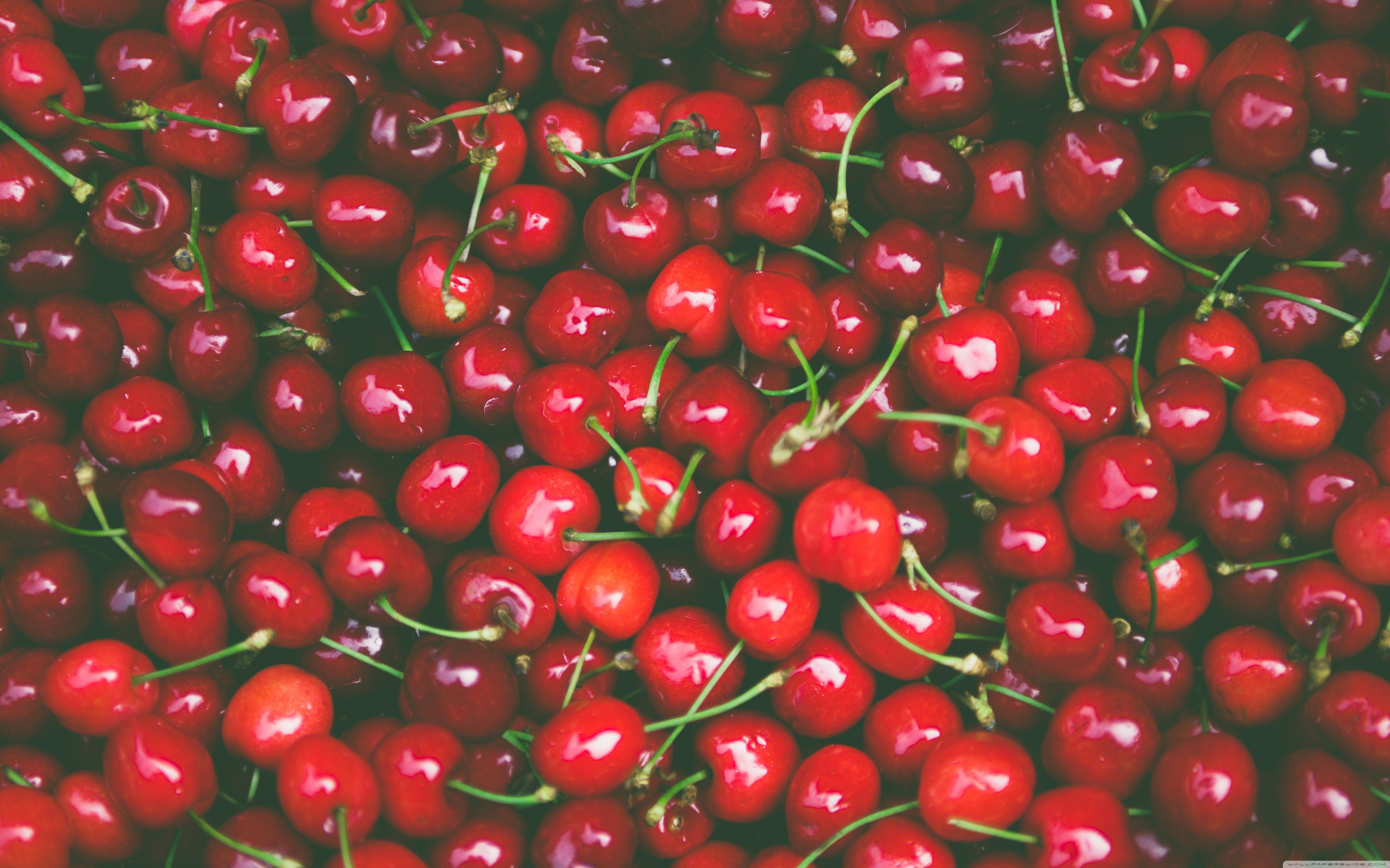 Cherry Wallpapers