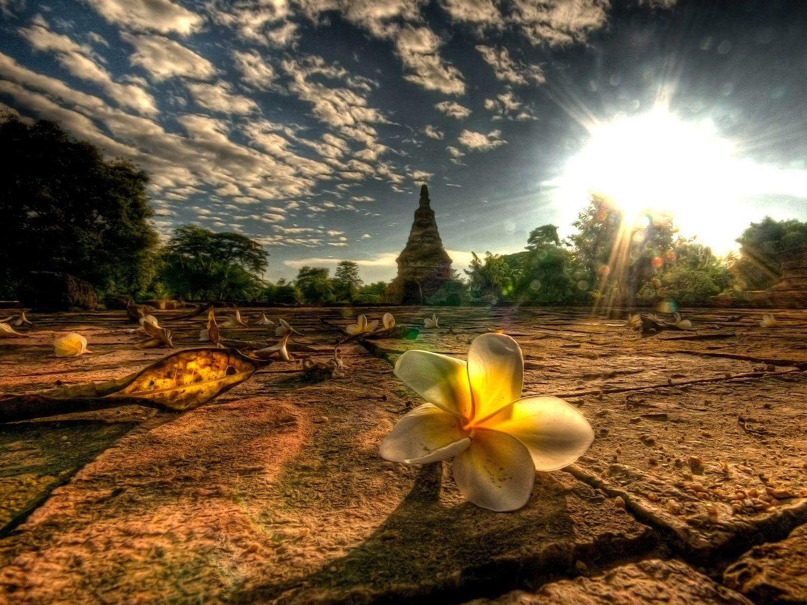 Chiang Mai Wallpapers