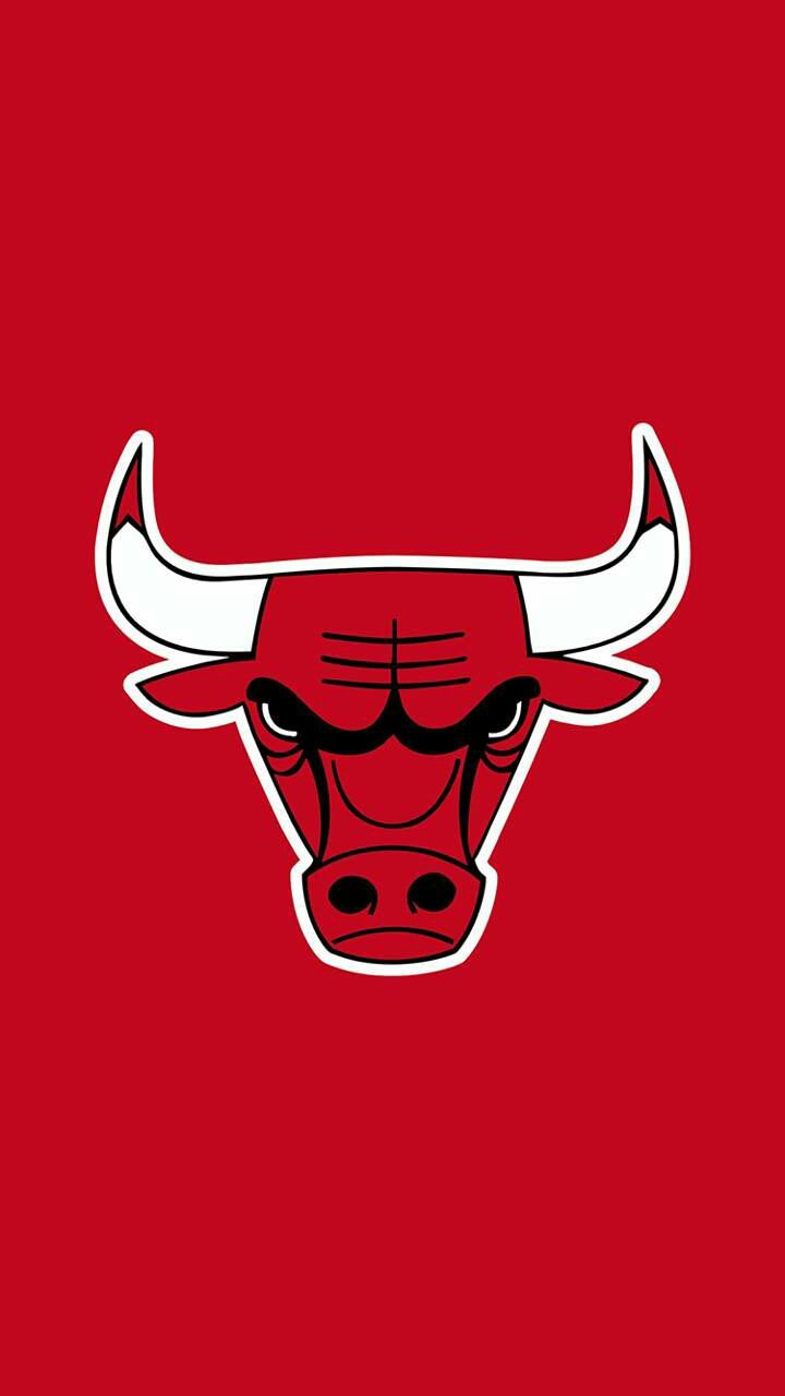 Chicago Bull Logo Wallpapers