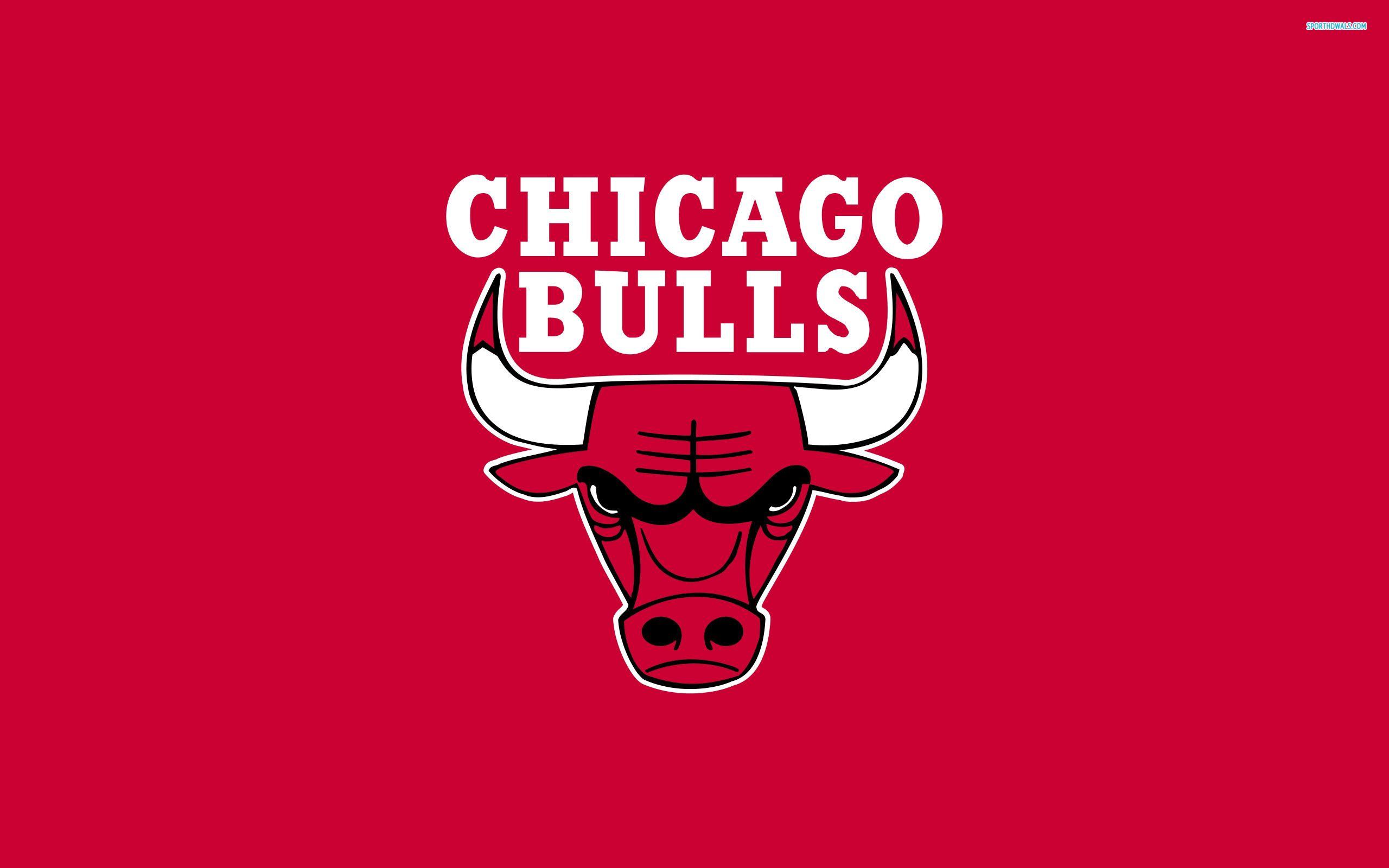 Chicago Bull Logo Wallpapers