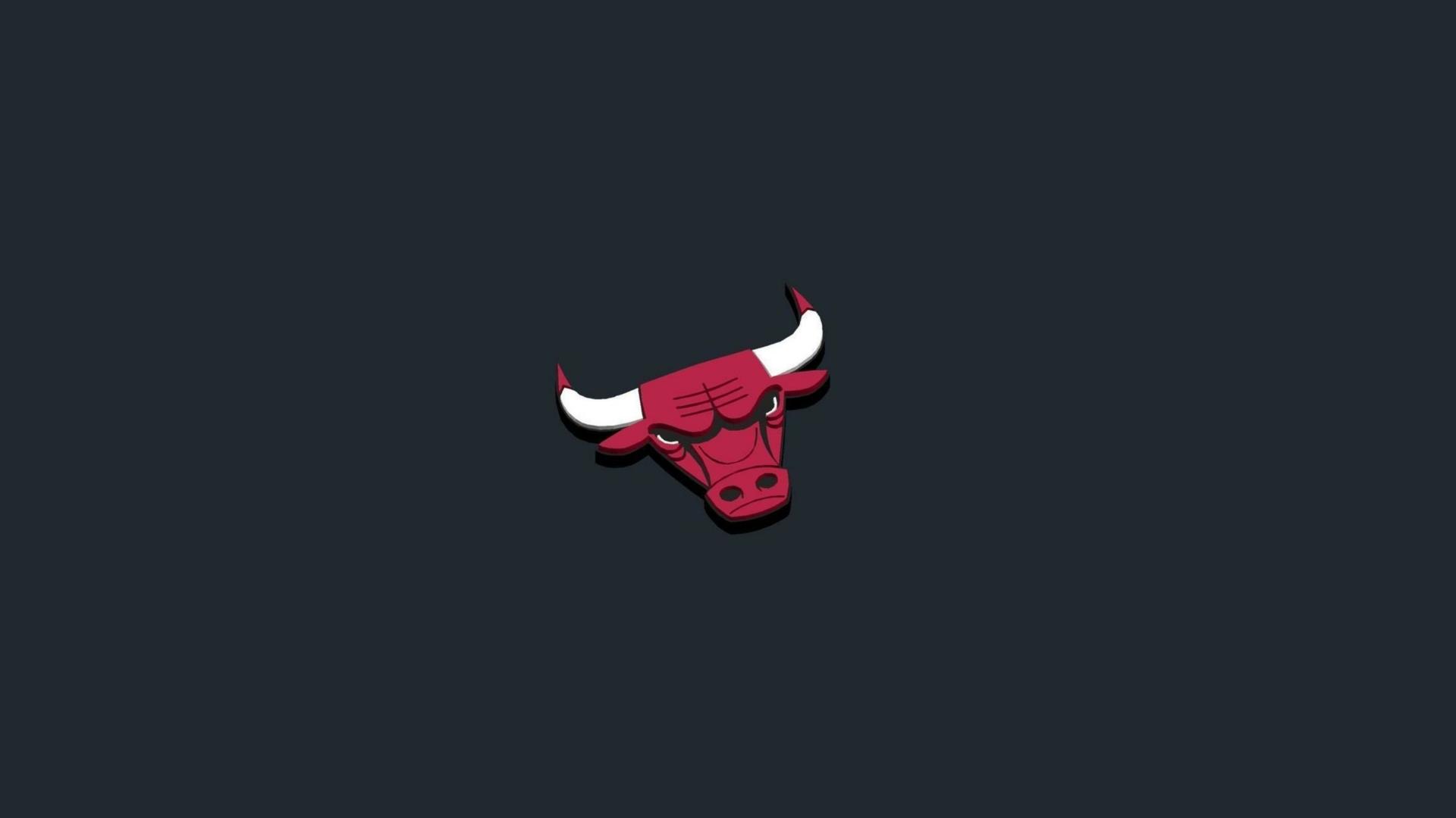 Chicago Bull Logo Wallpapers