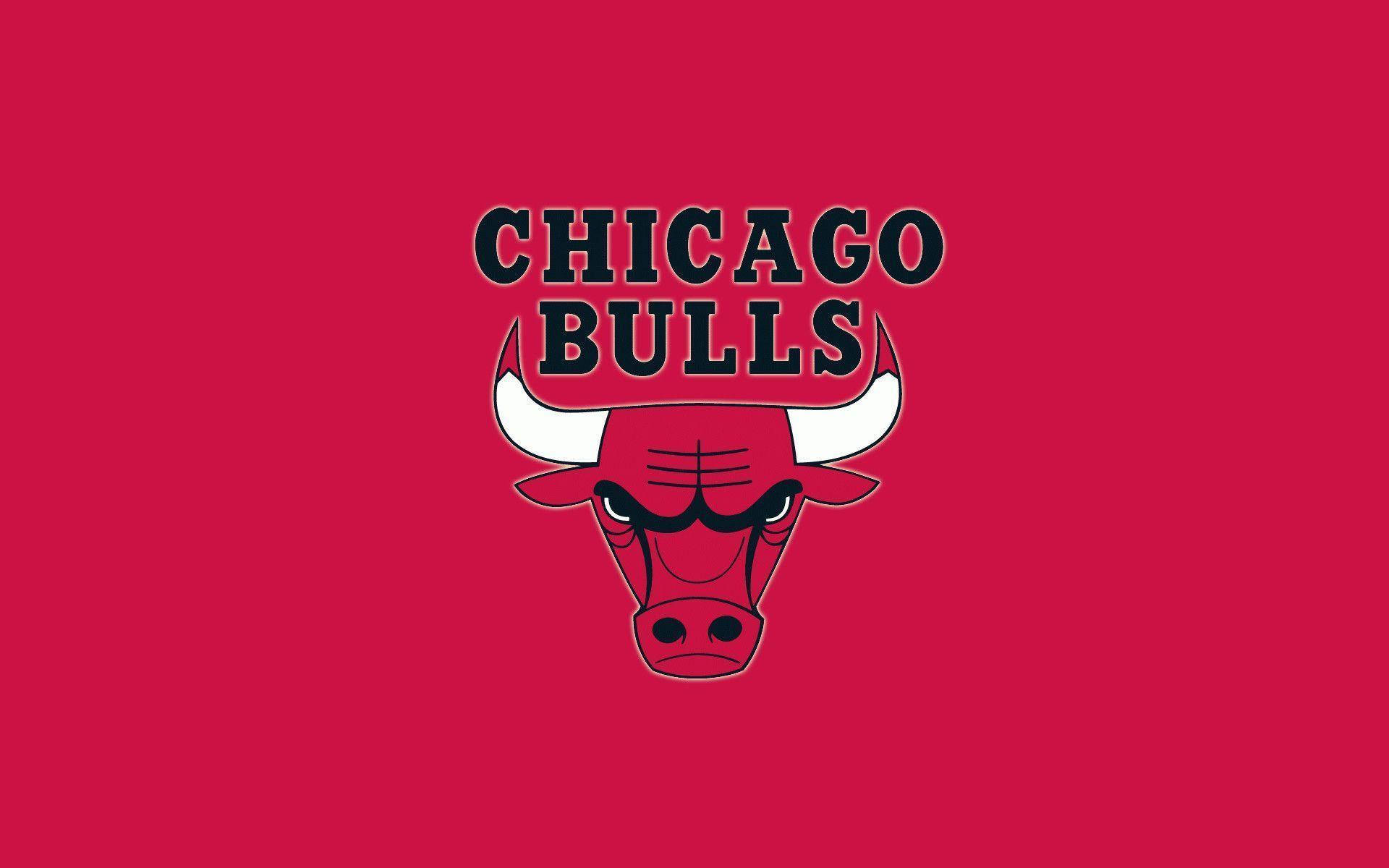 Chicago Bull Logo Wallpapers