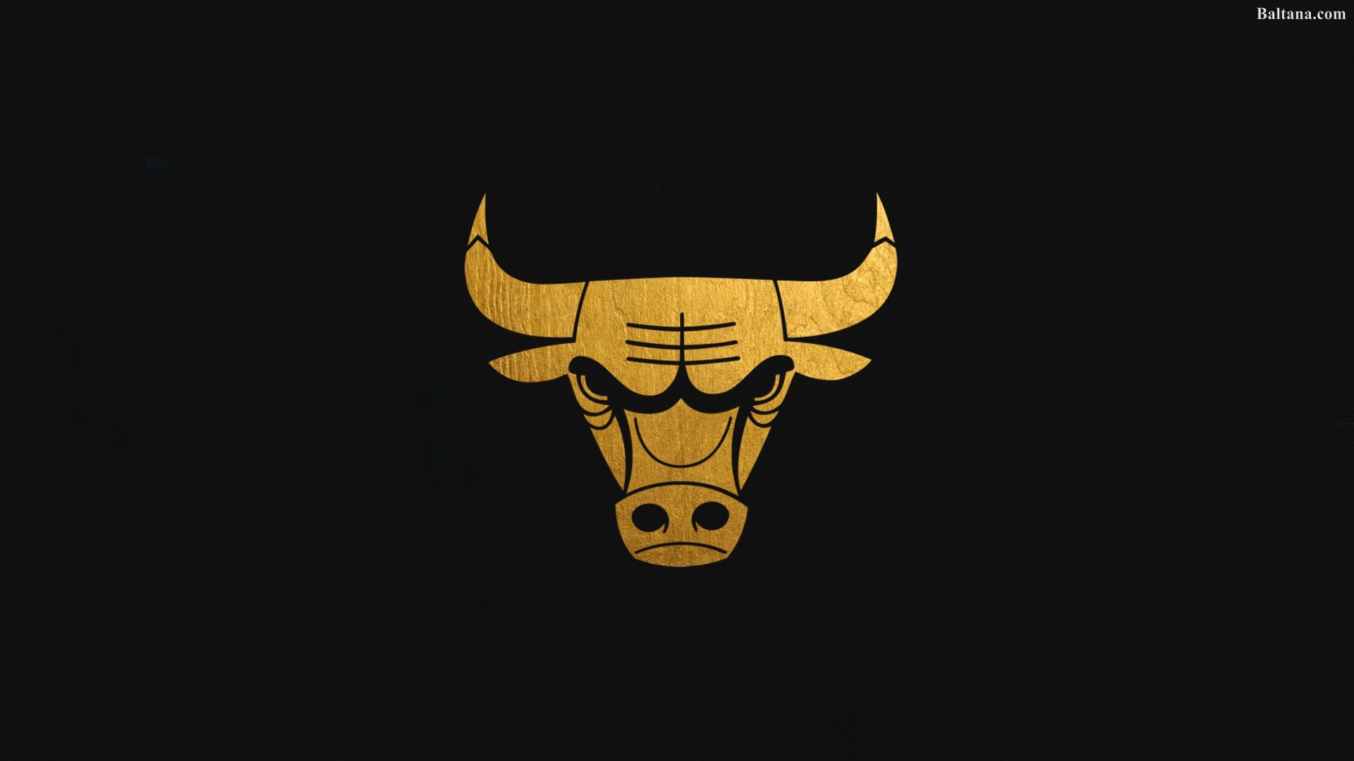 Chicago Bull Logo Wallpapers