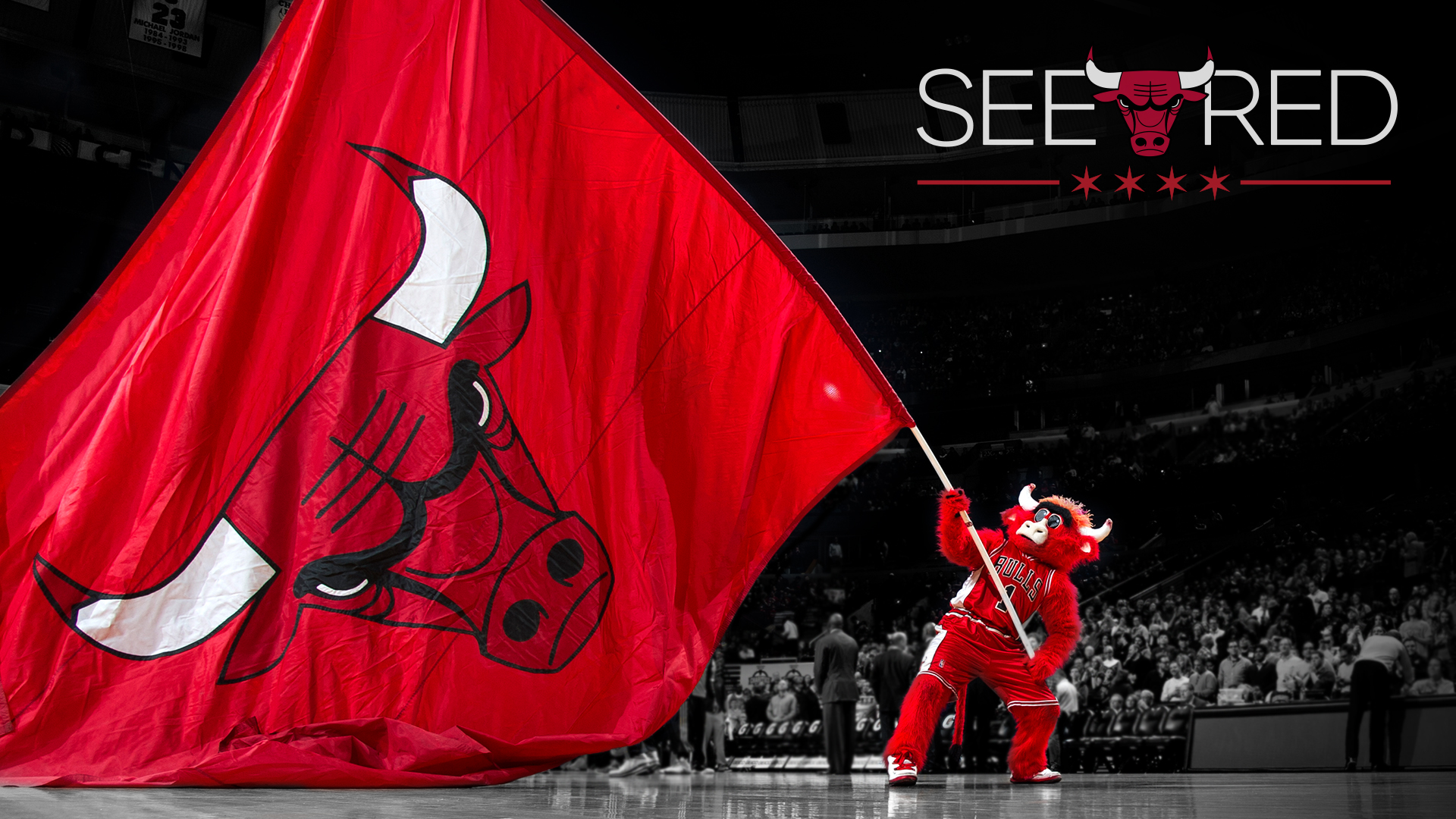 Chicago Bulls Background