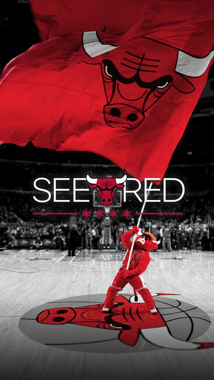 Chicago Bulls Iphone Wallpapers