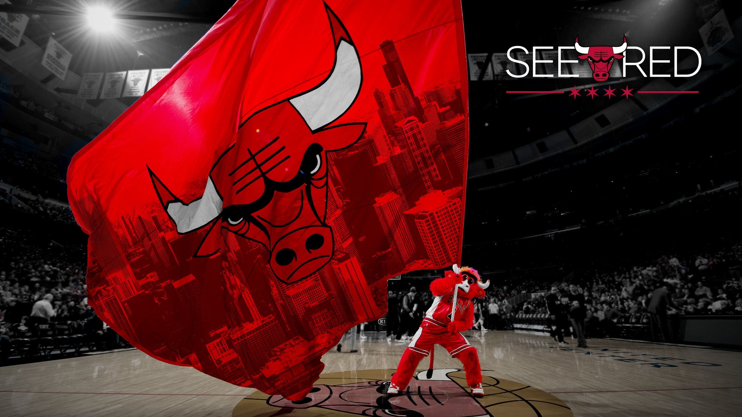 Chicago Bulls Wallpapers