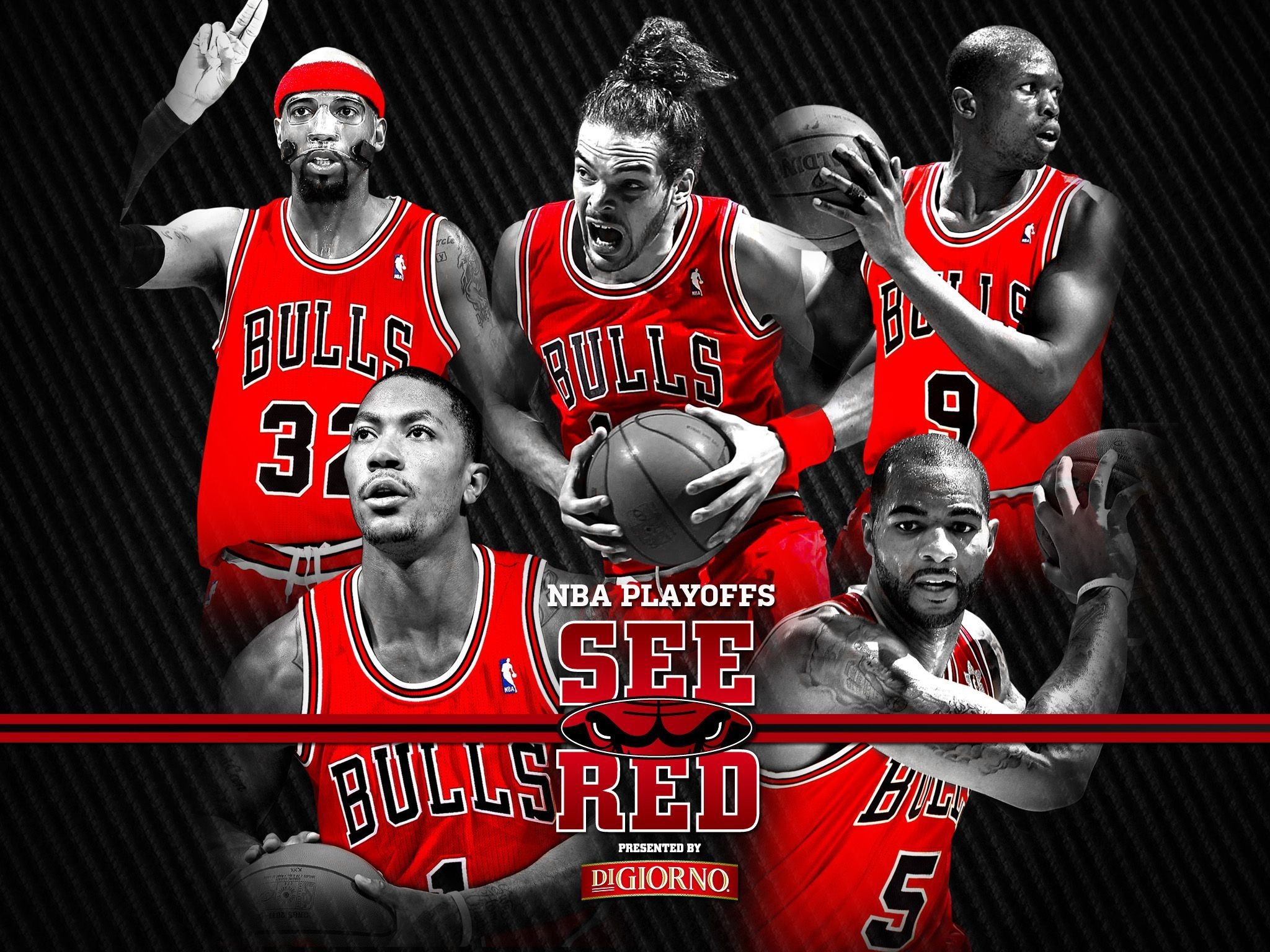 Chicago Bulls Wallpapers