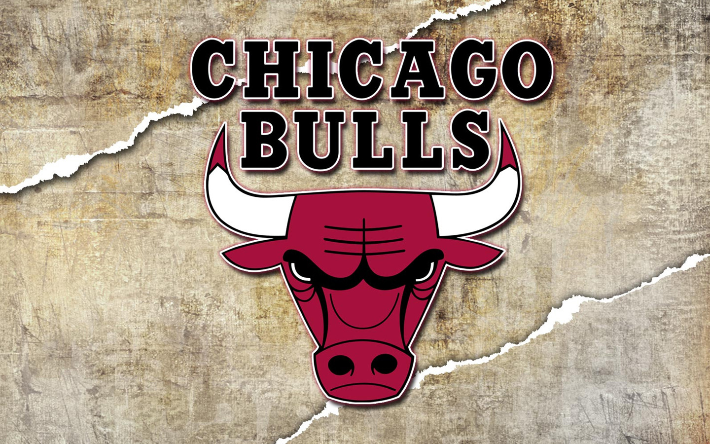 Chicago Bulls Wallpapers