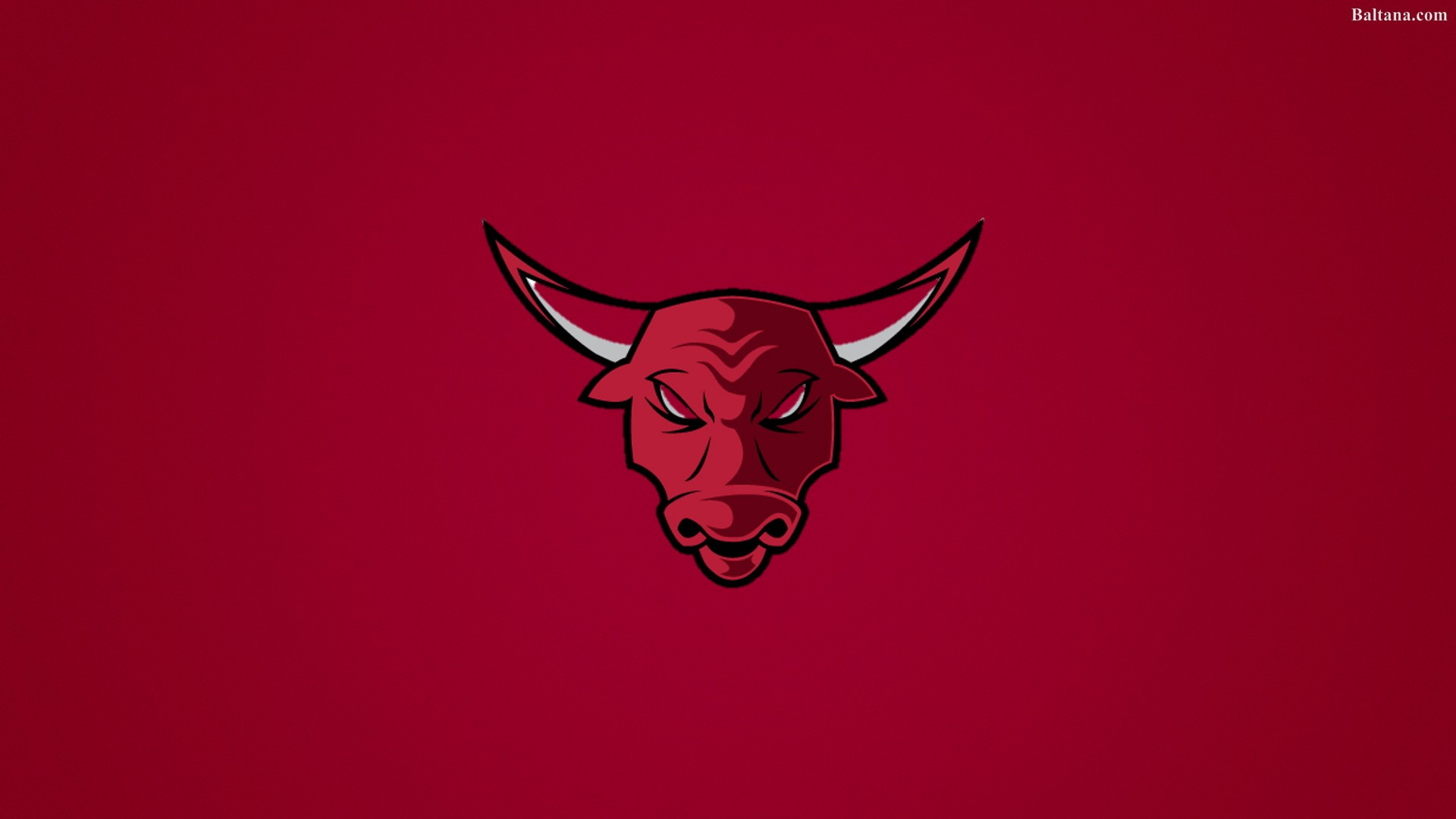 Chicago Bulls Wallpapers