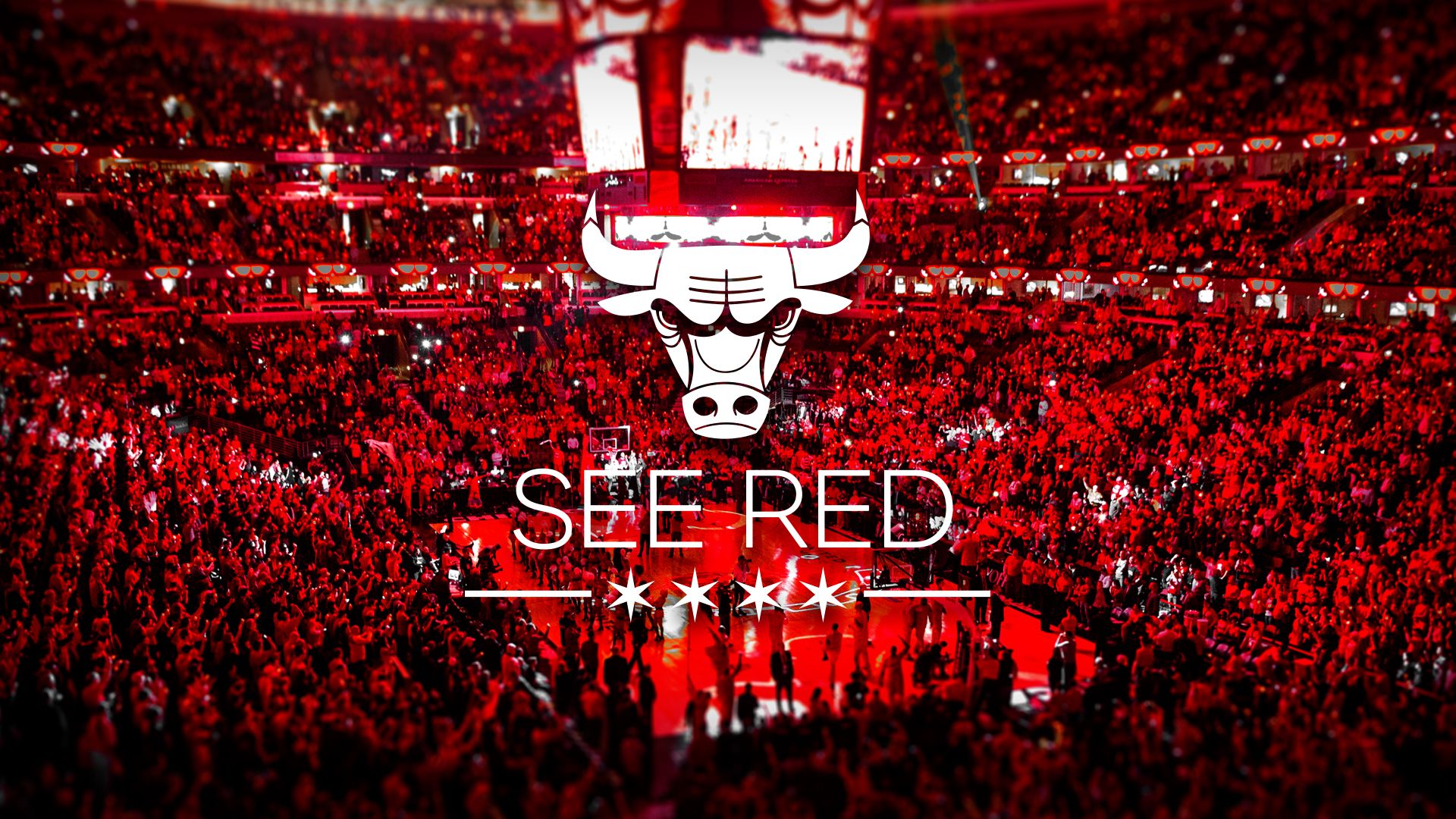 Chicago Bulls Wallpapers