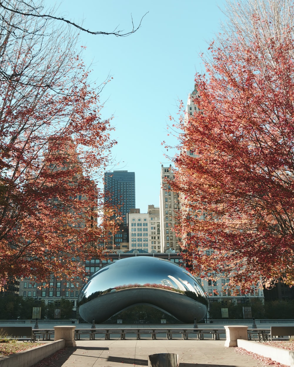 Chicago City Hall Wallpapers