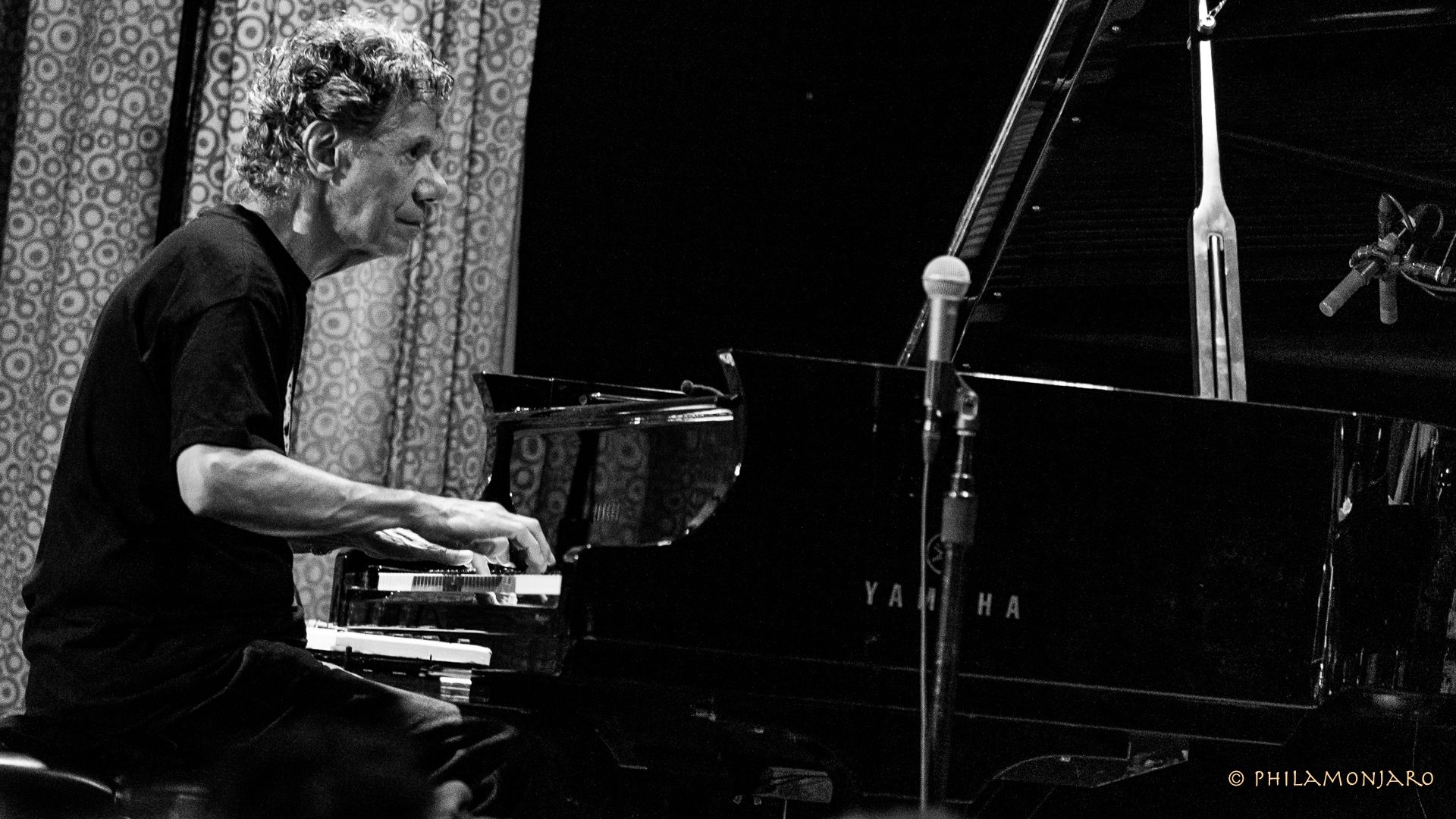 Chick Corea Wallpapers