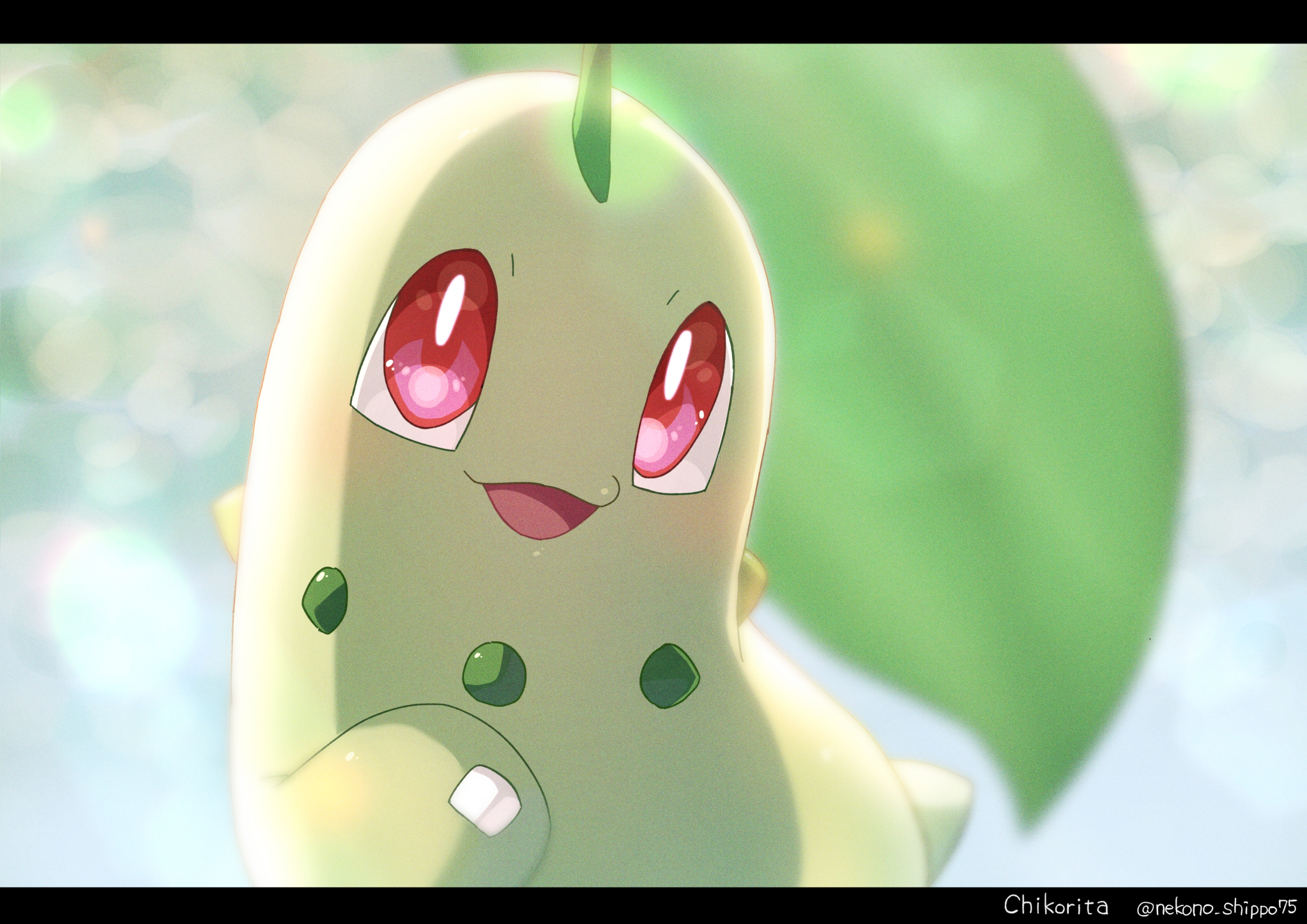 Chikorita Hd Wallpapers