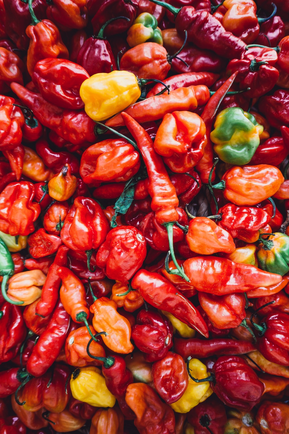 Chili Wallpapers