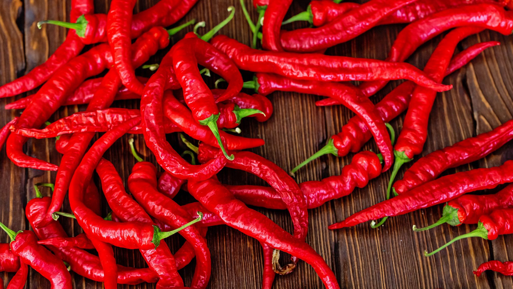 Chili Wallpapers