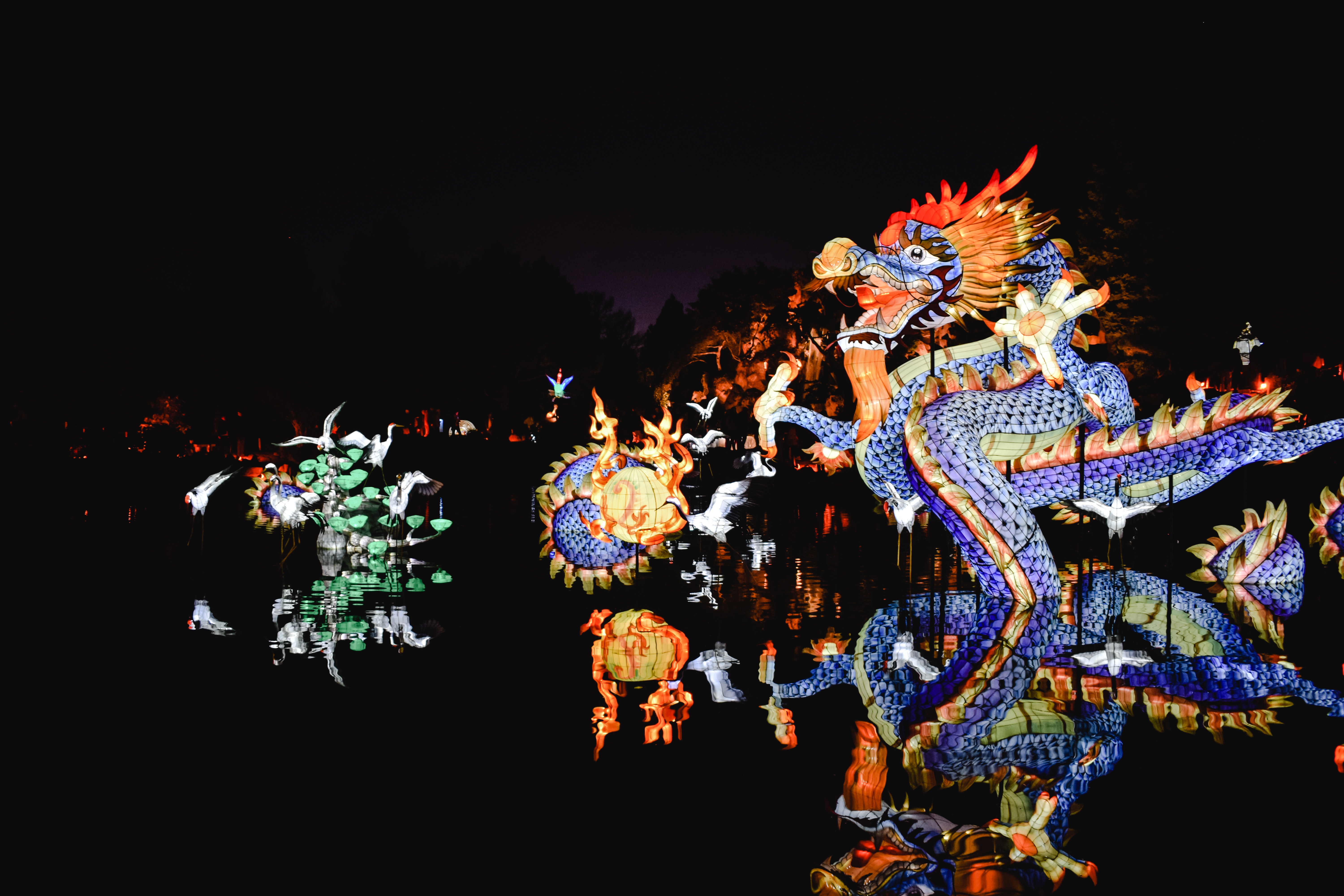 Chinese Dragon Wallpapers