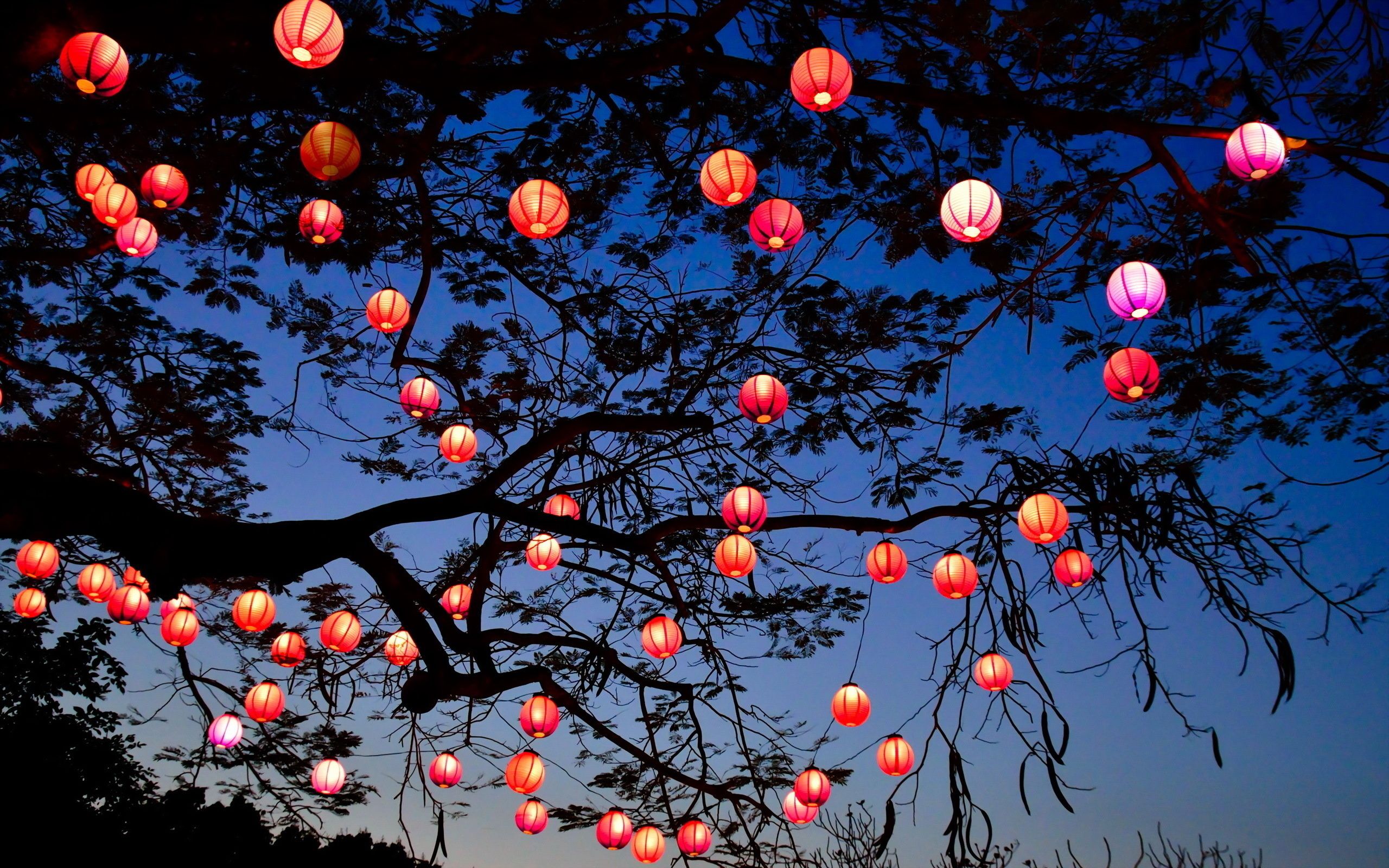 Chinese Lantern Wallpapers
