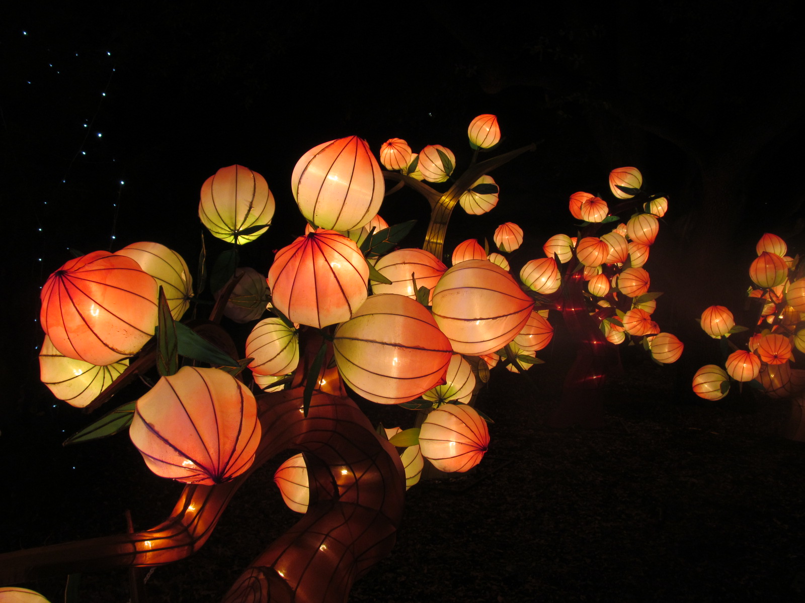 Chinese Lantern Wallpapers