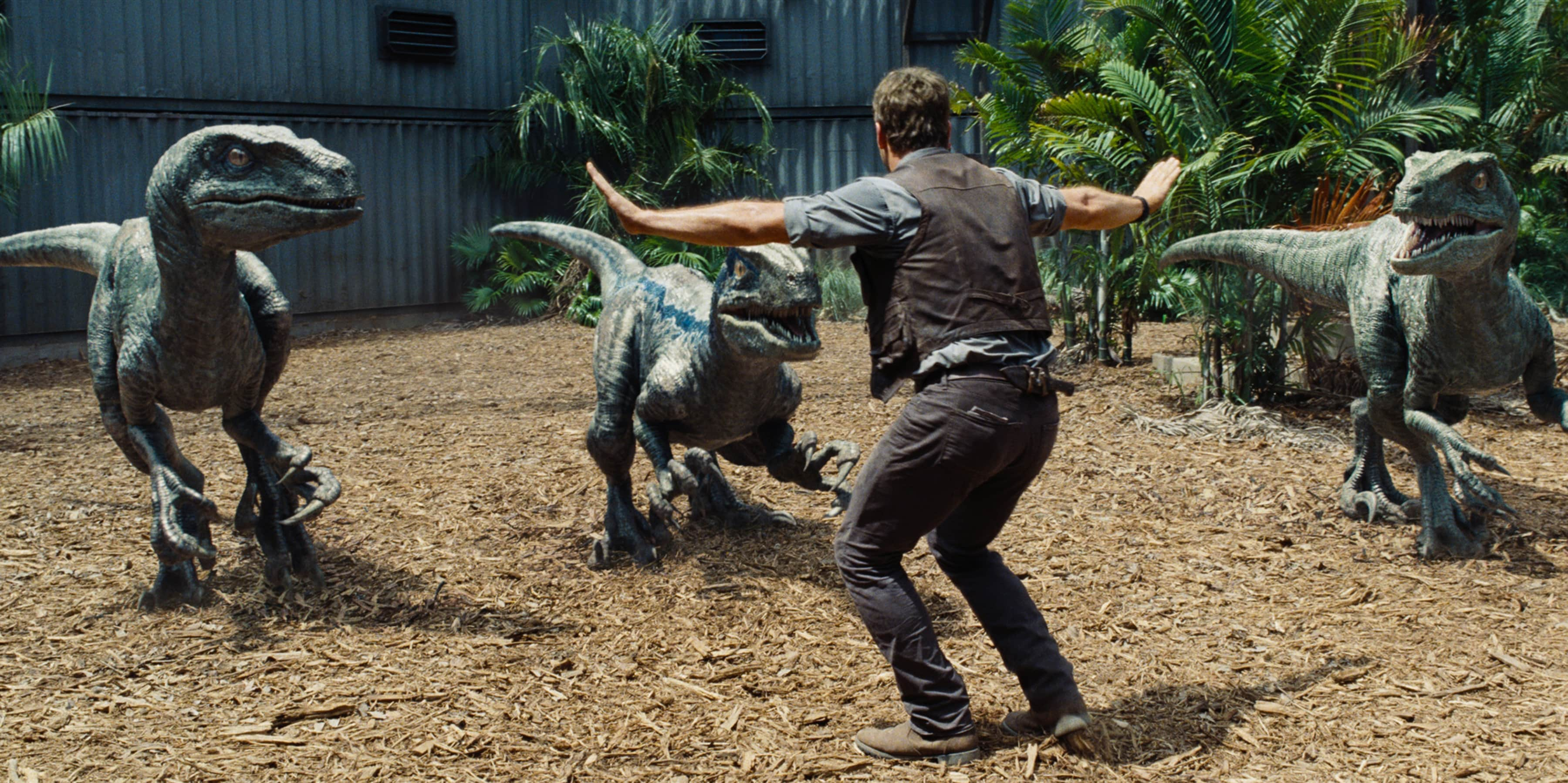 Chris Pratt And Little Raptor Jurassic World Wallpapers