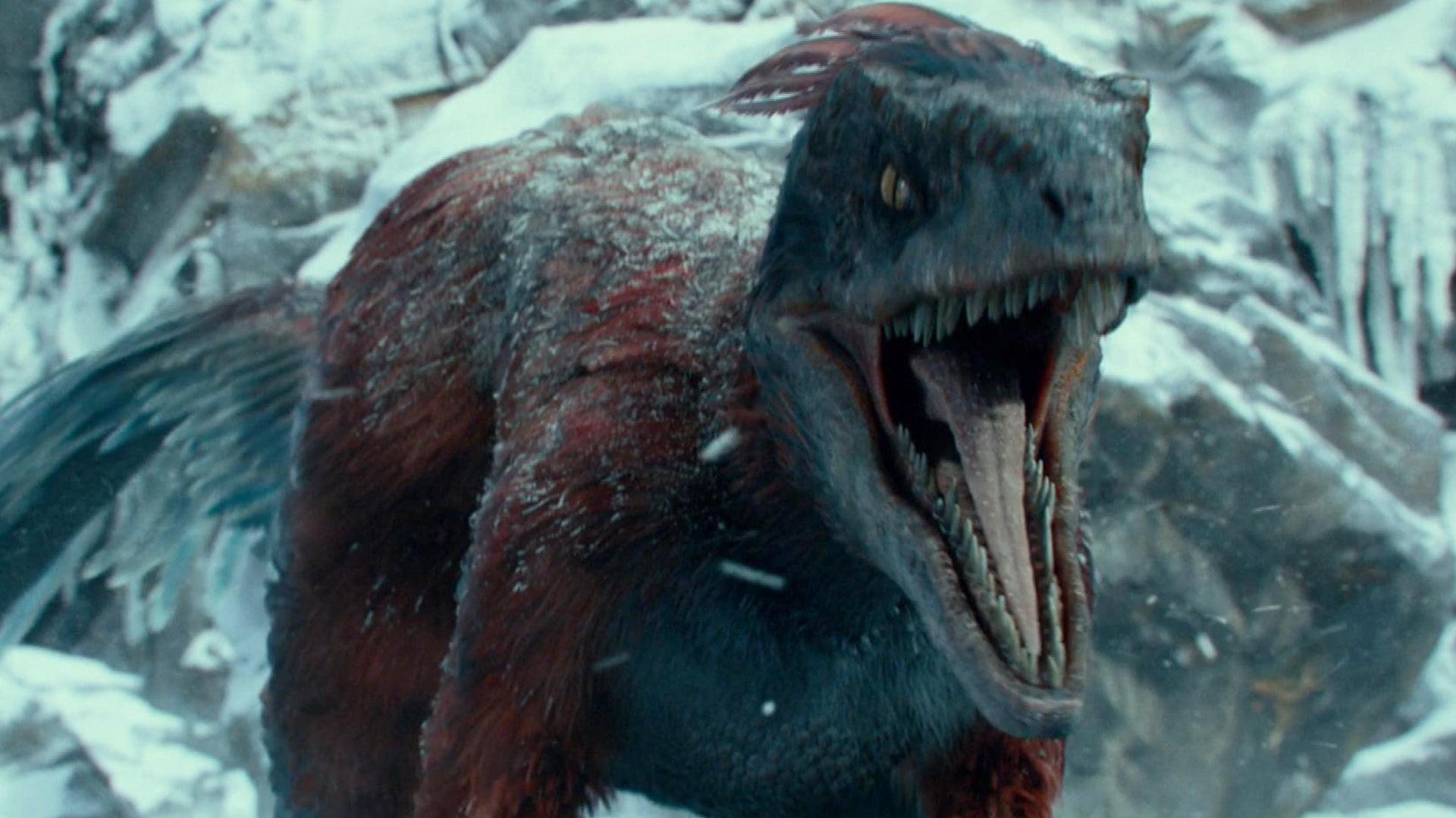 Chris Pratt And Little Raptor Jurassic World Wallpapers