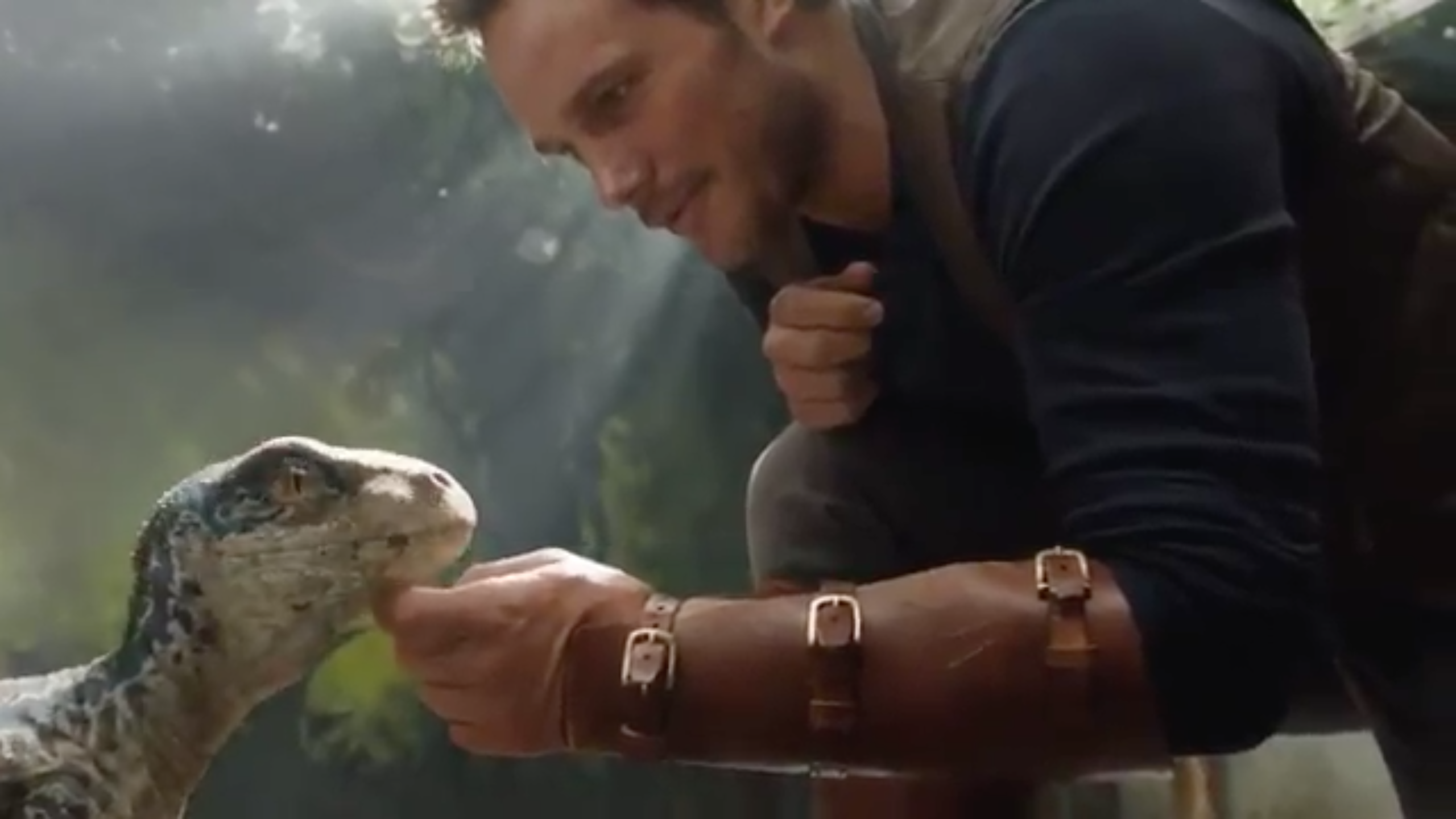 Chris Pratt And Little Raptor Jurassic World Wallpapers