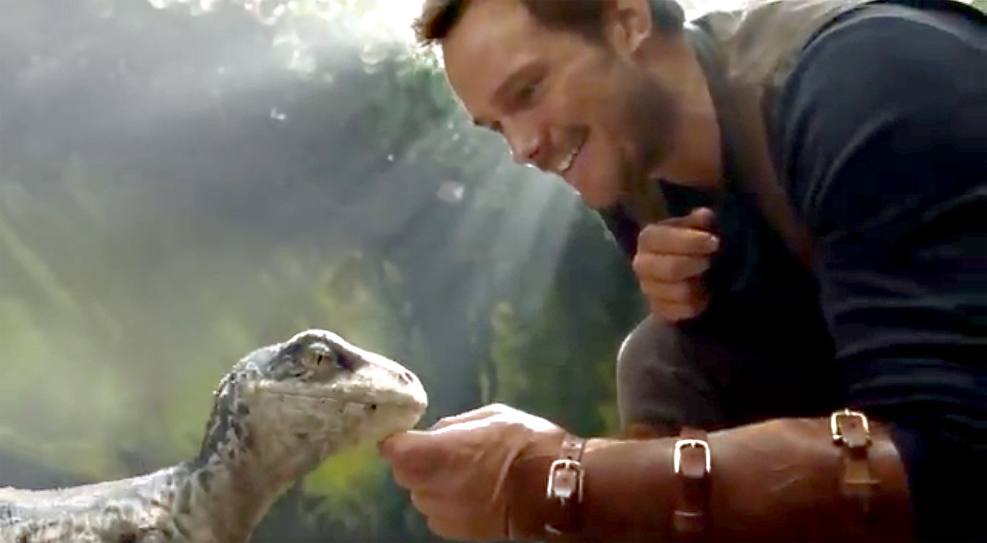 Chris Pratt And Little Raptor Jurassic World Wallpapers