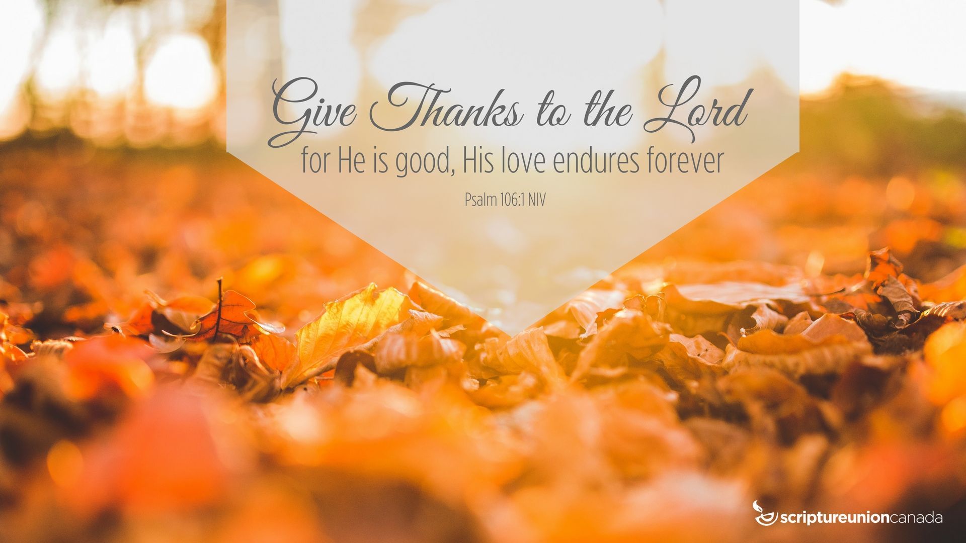 Christian Thanksgiving Facebook Cover Wallpapers