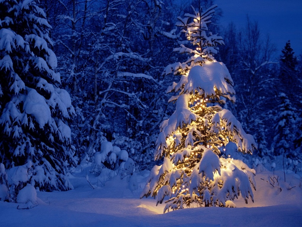 Christmas 3D Wallpapers