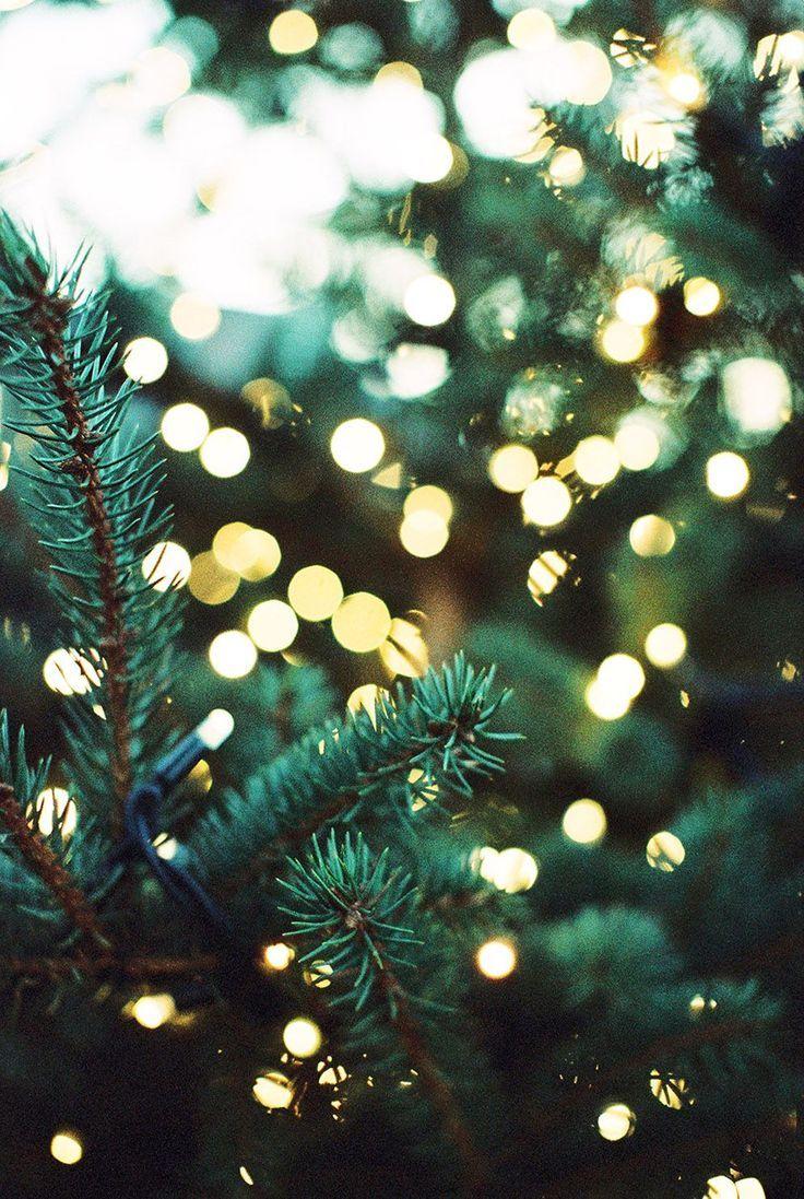 Christmas Aesthetic Green Wallpapers