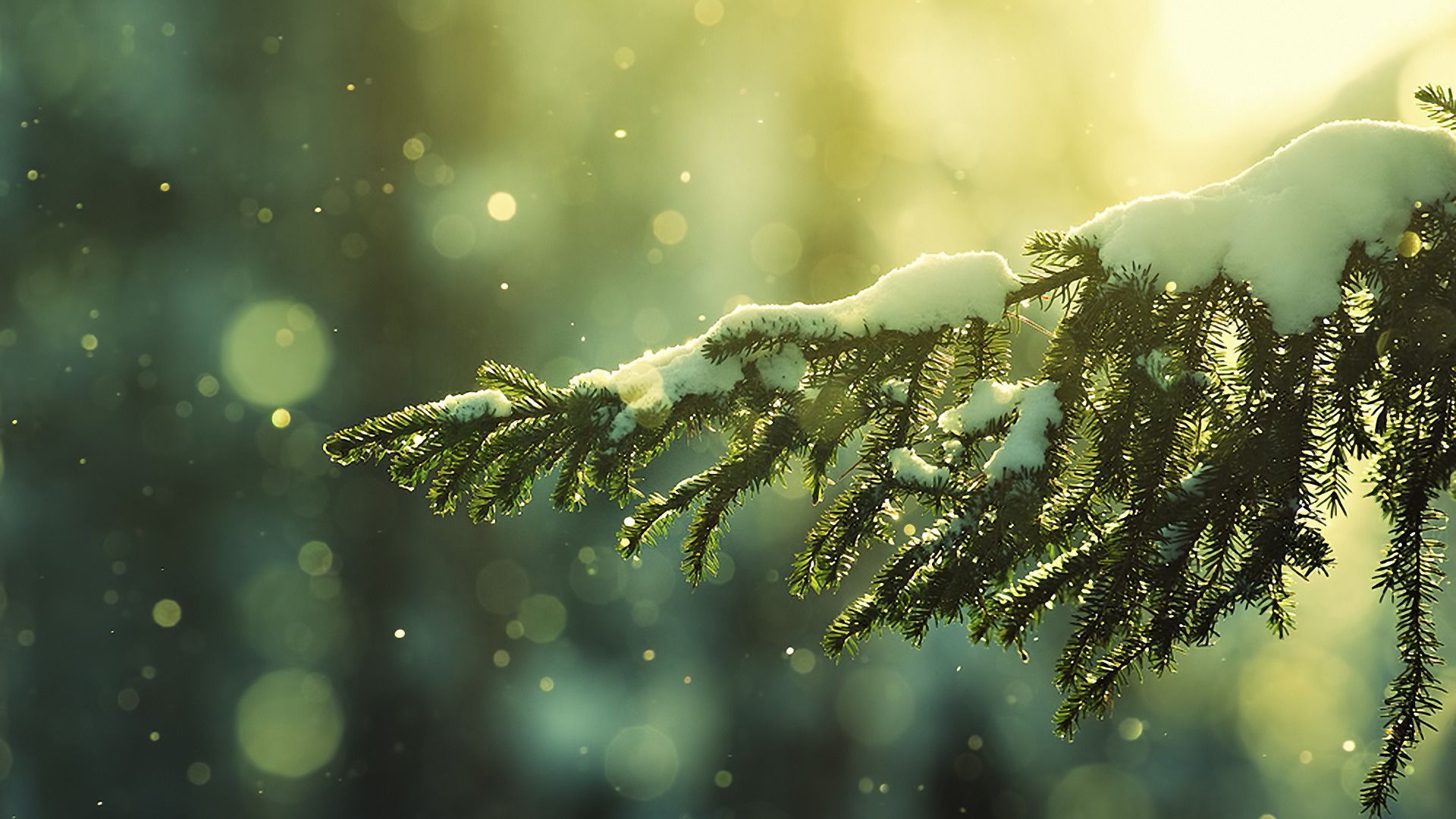 Christmas Aesthetic Tumblr Computer Wallpapers