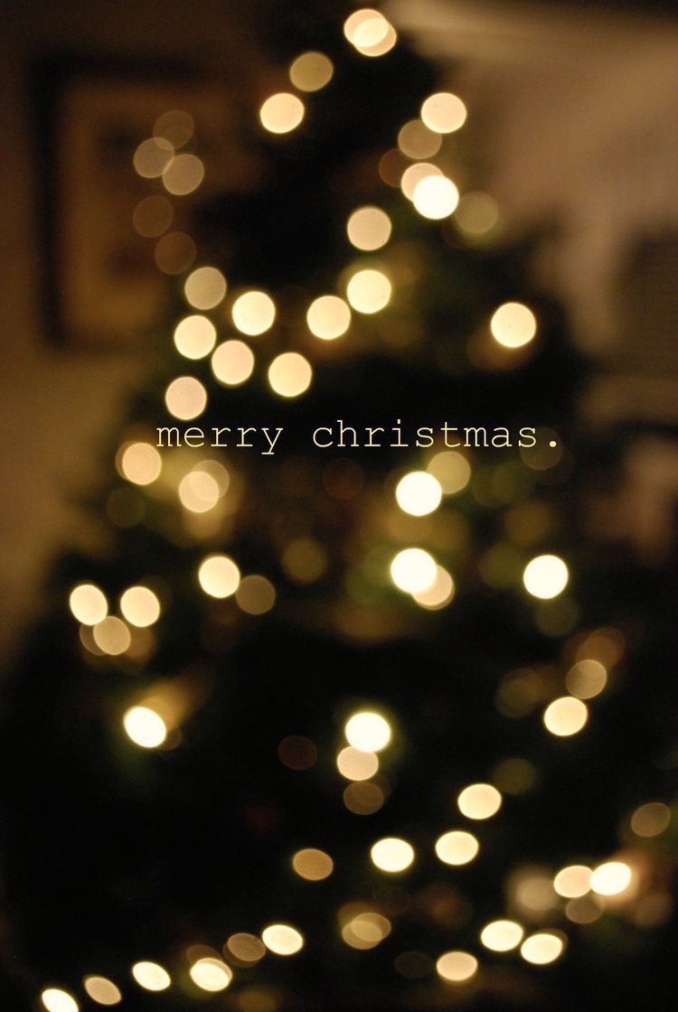 Christmas Aesthetic Tumblr Wallpapers