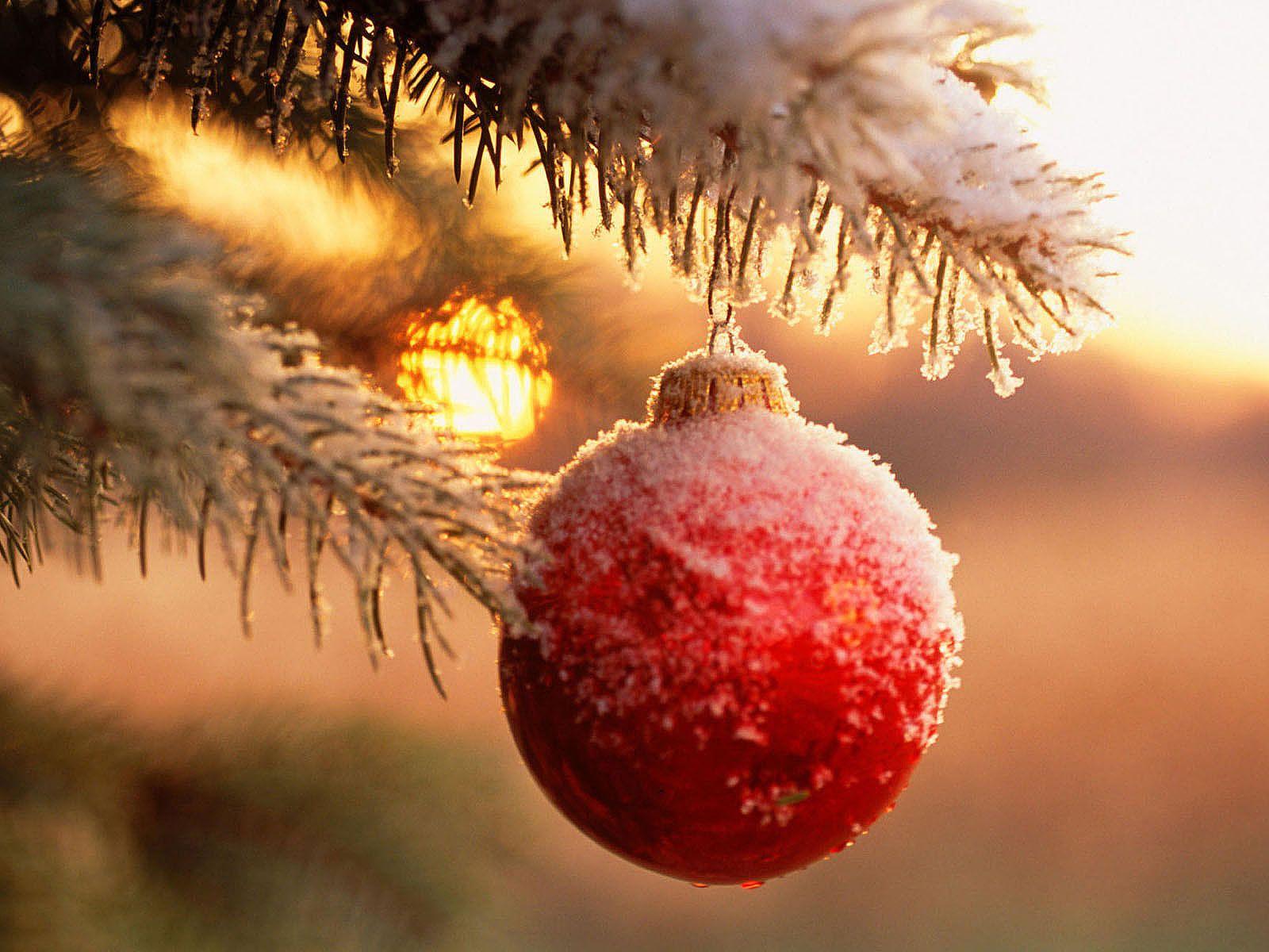 Christmas Balls Wallpapers