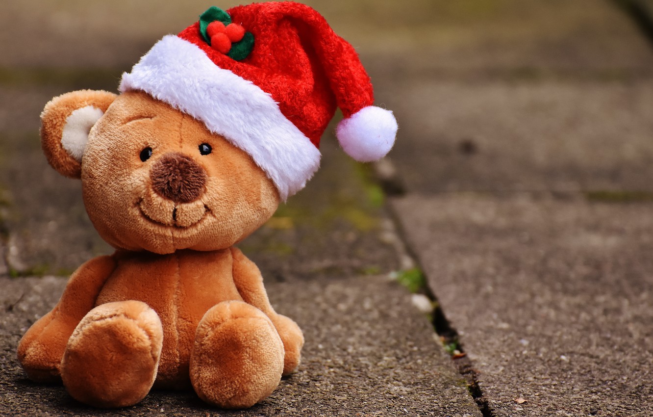 Christmas Bear Wallpapers