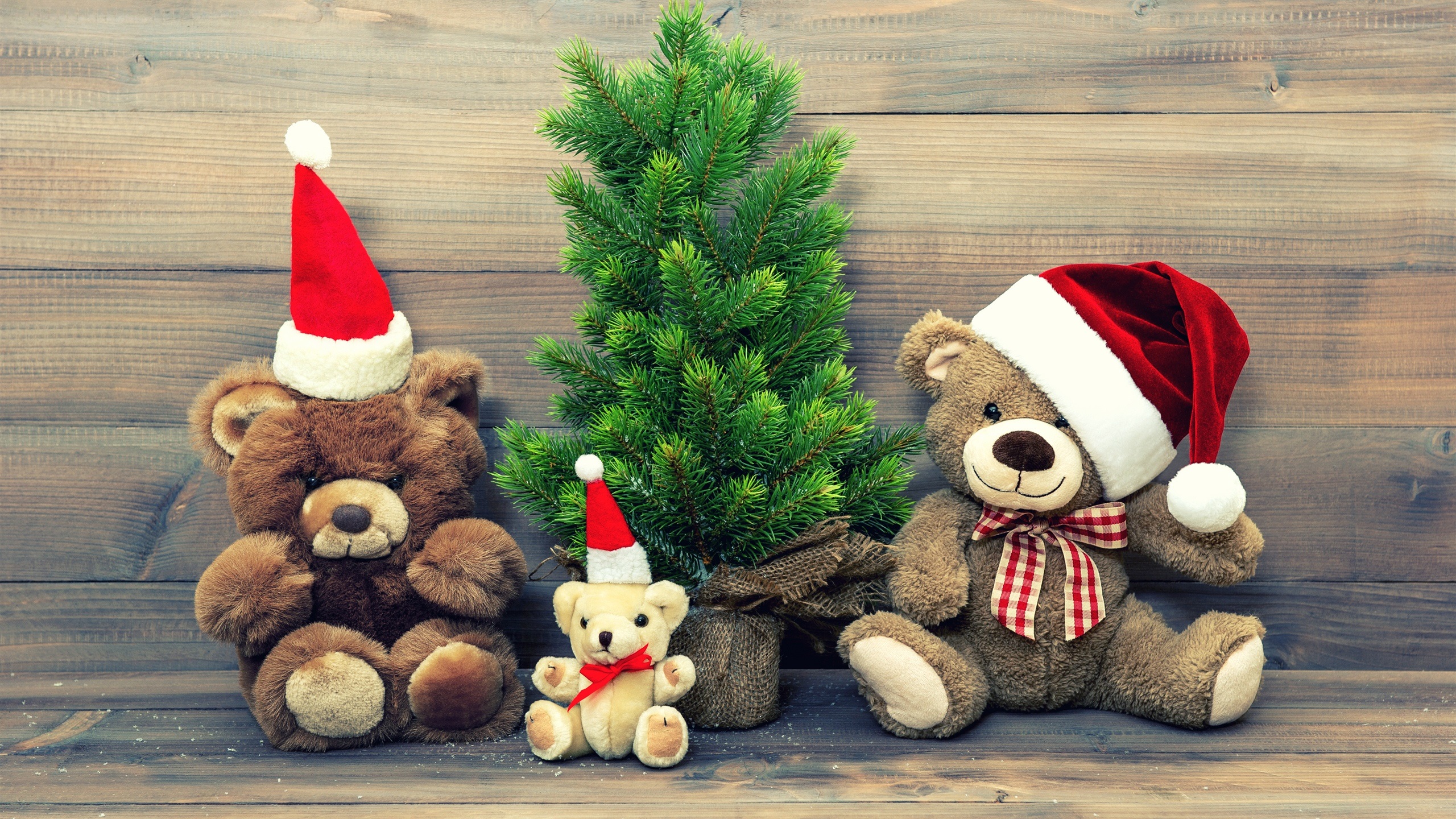 Christmas Bear Wallpapers