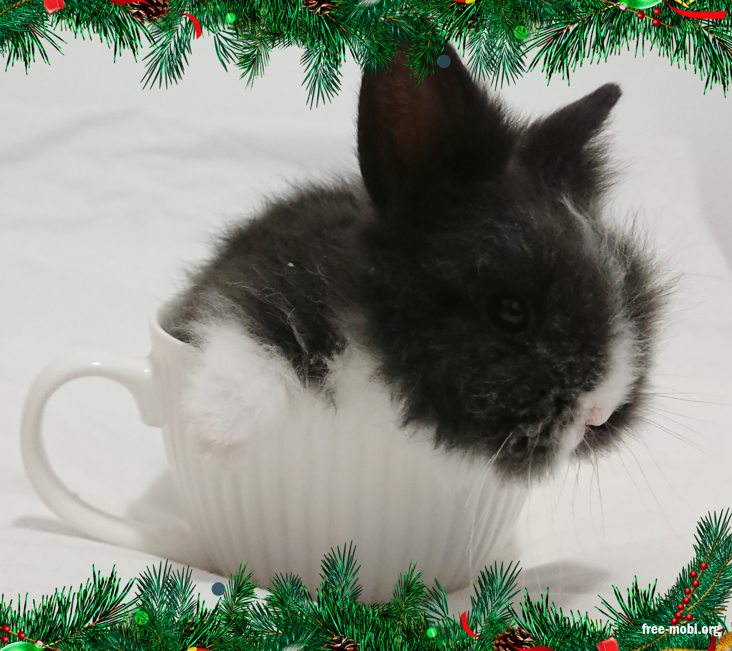 Christmas Bunny Wallpapers