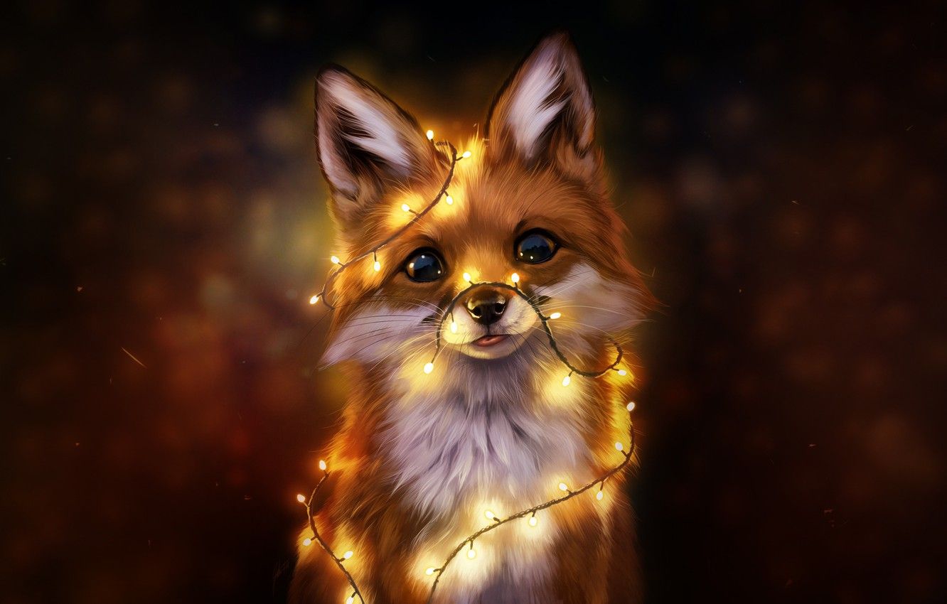 Christmas Fox Wallpapers