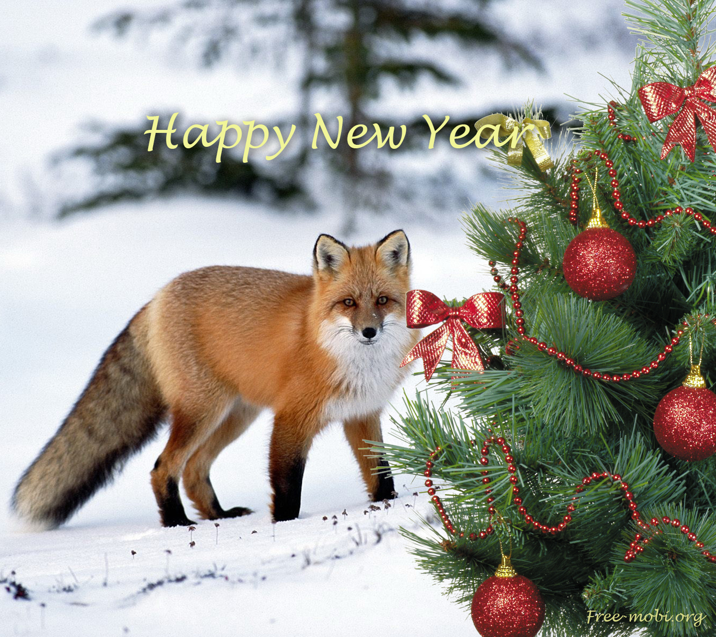 Christmas Fox Wallpapers