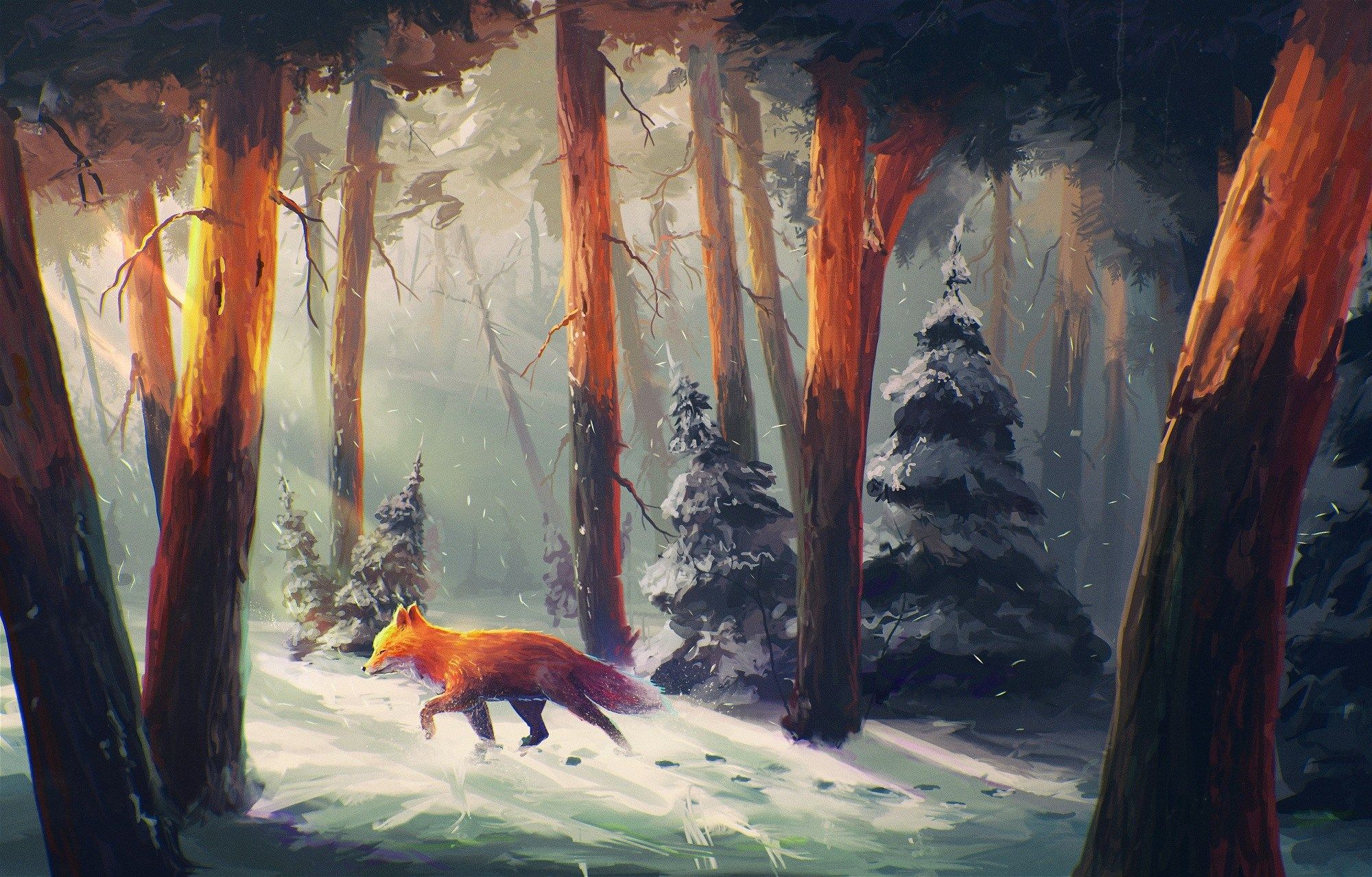 Christmas Fox Wallpapers