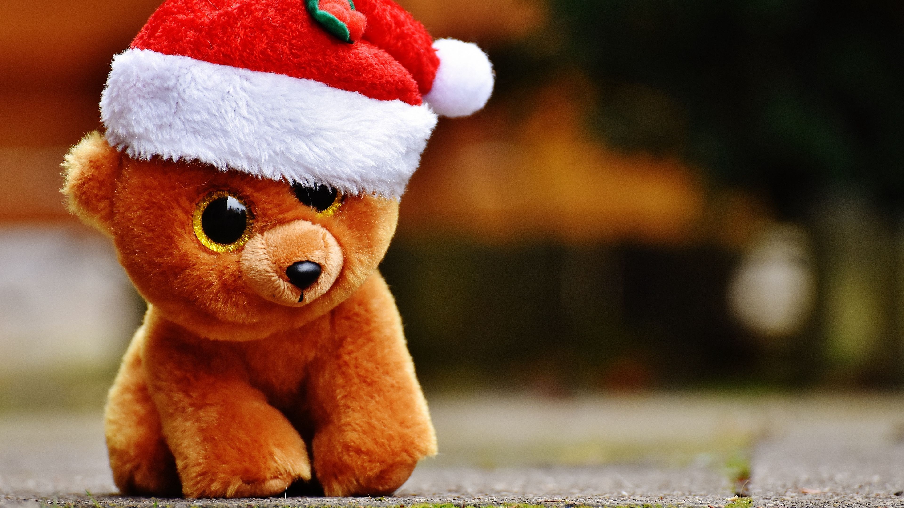 Christmas Gift Teddy Bear Wallpapers