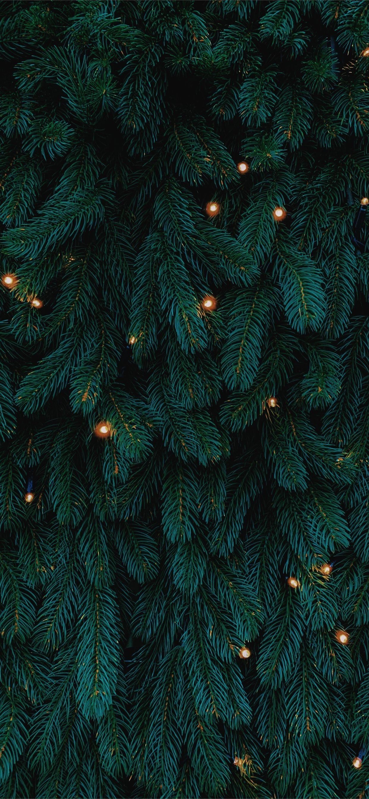 Christmas Green Wallpapers