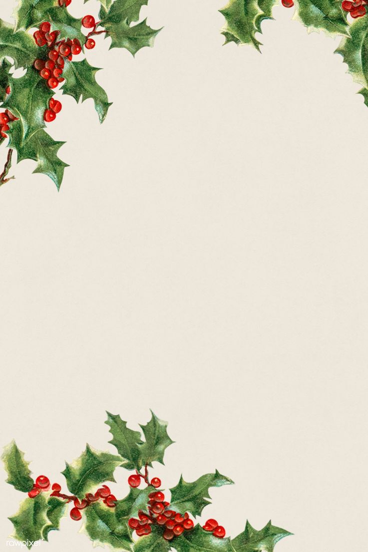 Christmas Holly Wallpapers