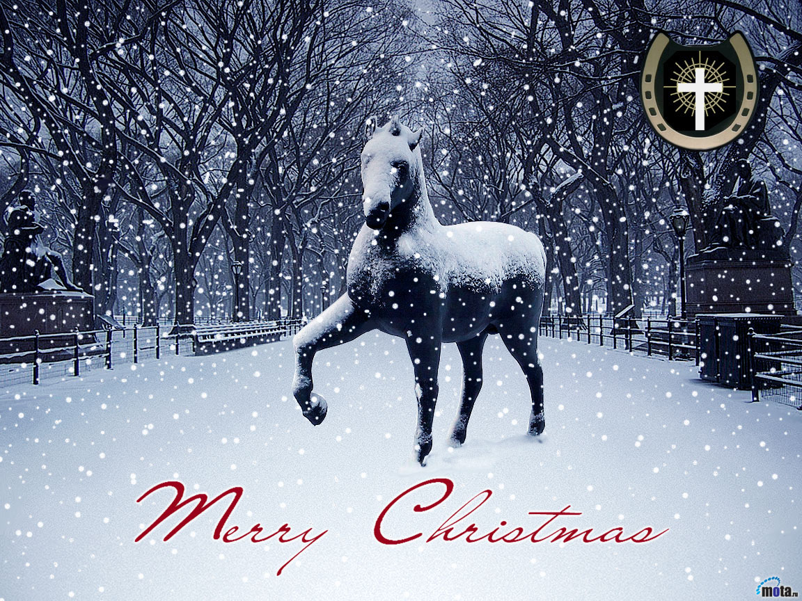 Christmas Horse Wallpapers