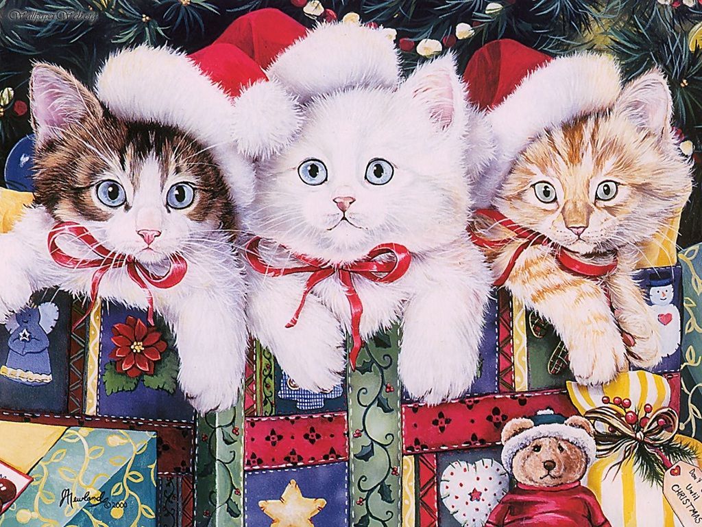 Christmas Kittens Wallpapers